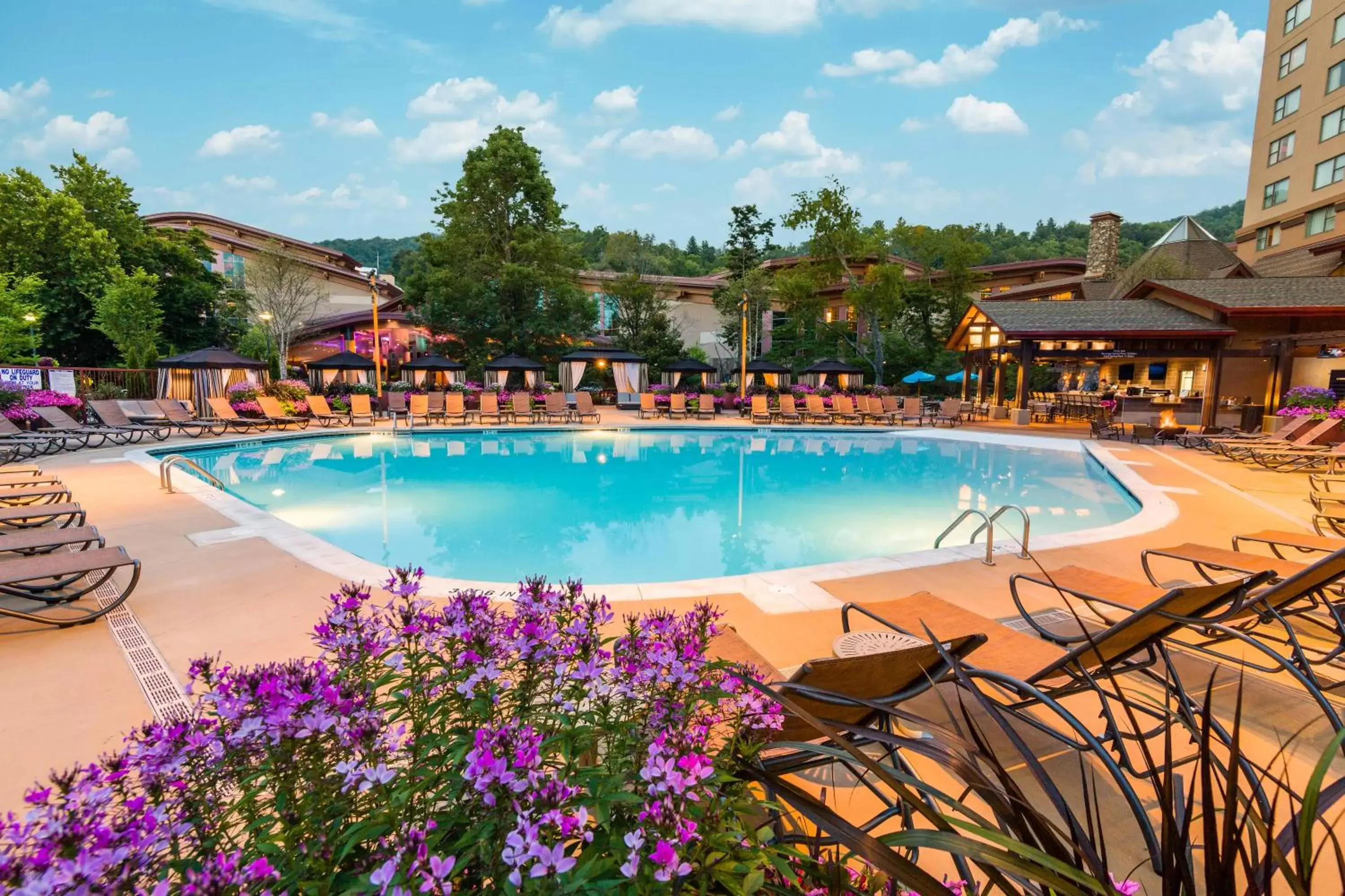 Swimming Pool in Harrah's Cherokee Casino Resort