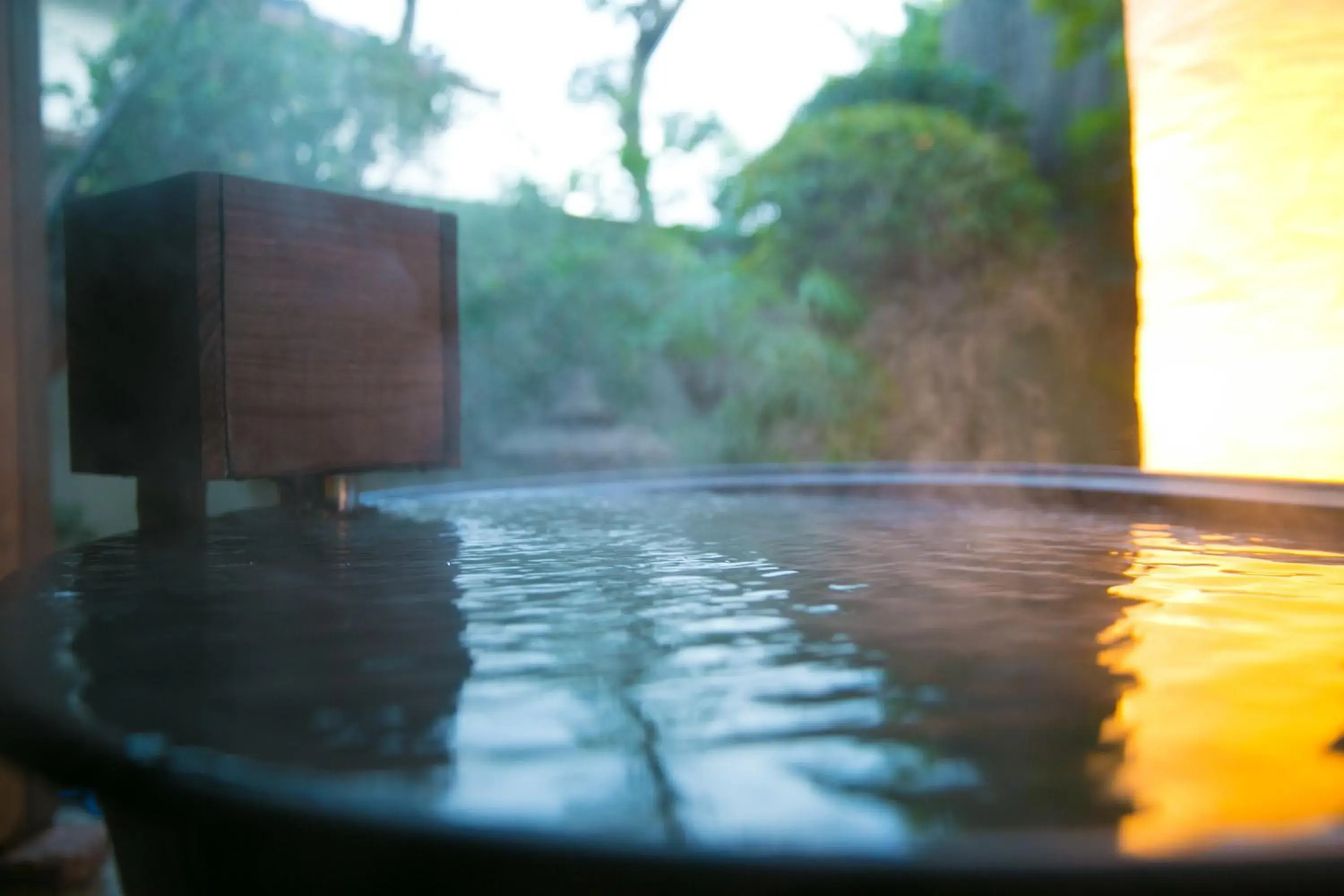 Hot Spring Bath, Swimming Pool in Kunisakisou