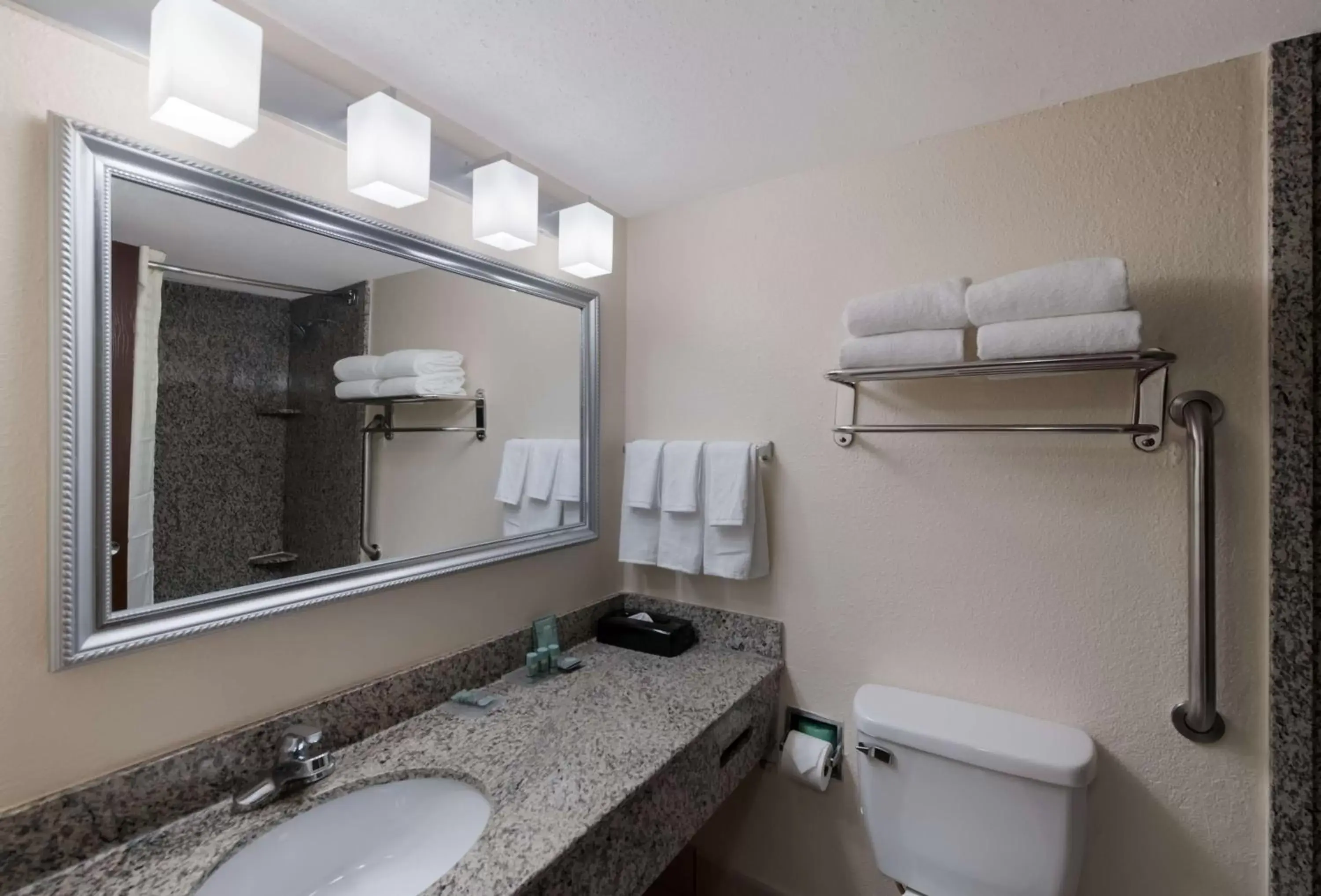 Bathroom in Best Western Hampton Coliseum Inn