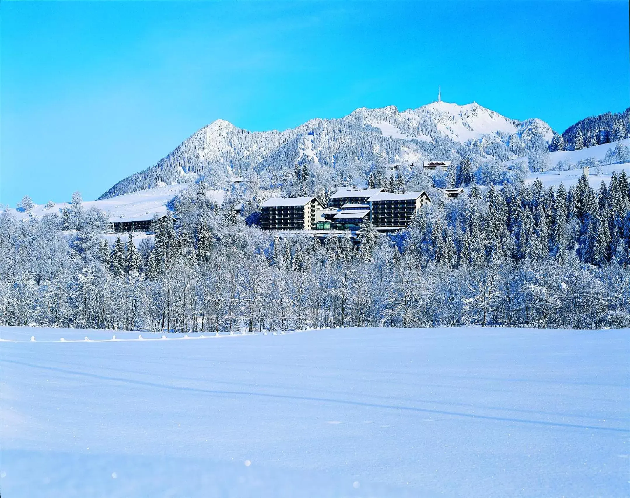 Property building, Winter in AllgäuStern Hotel