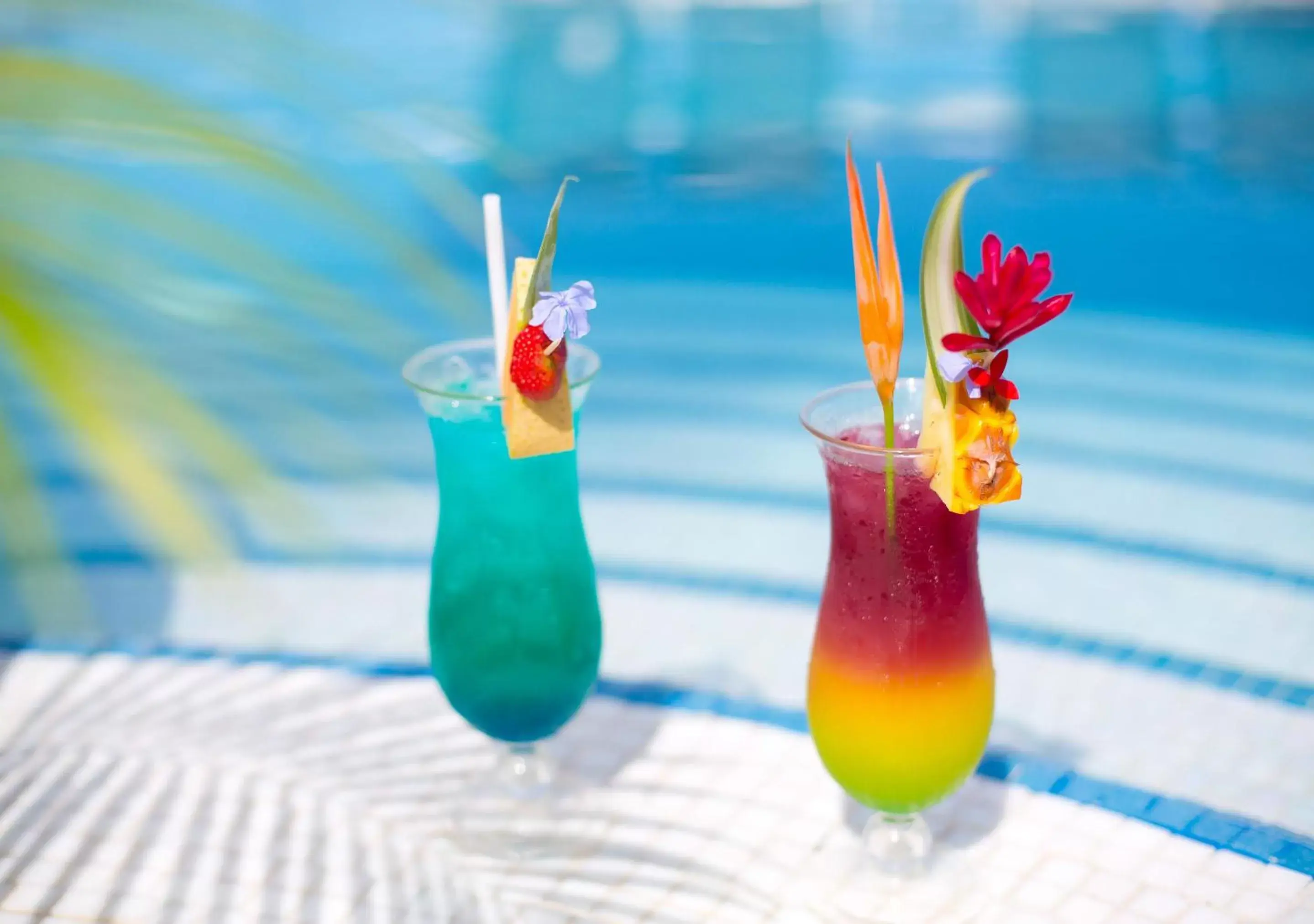 Lounge or bar, Swimming Pool in Sunset Plaza Beach Resort Puerto Vallarta All Inclusive