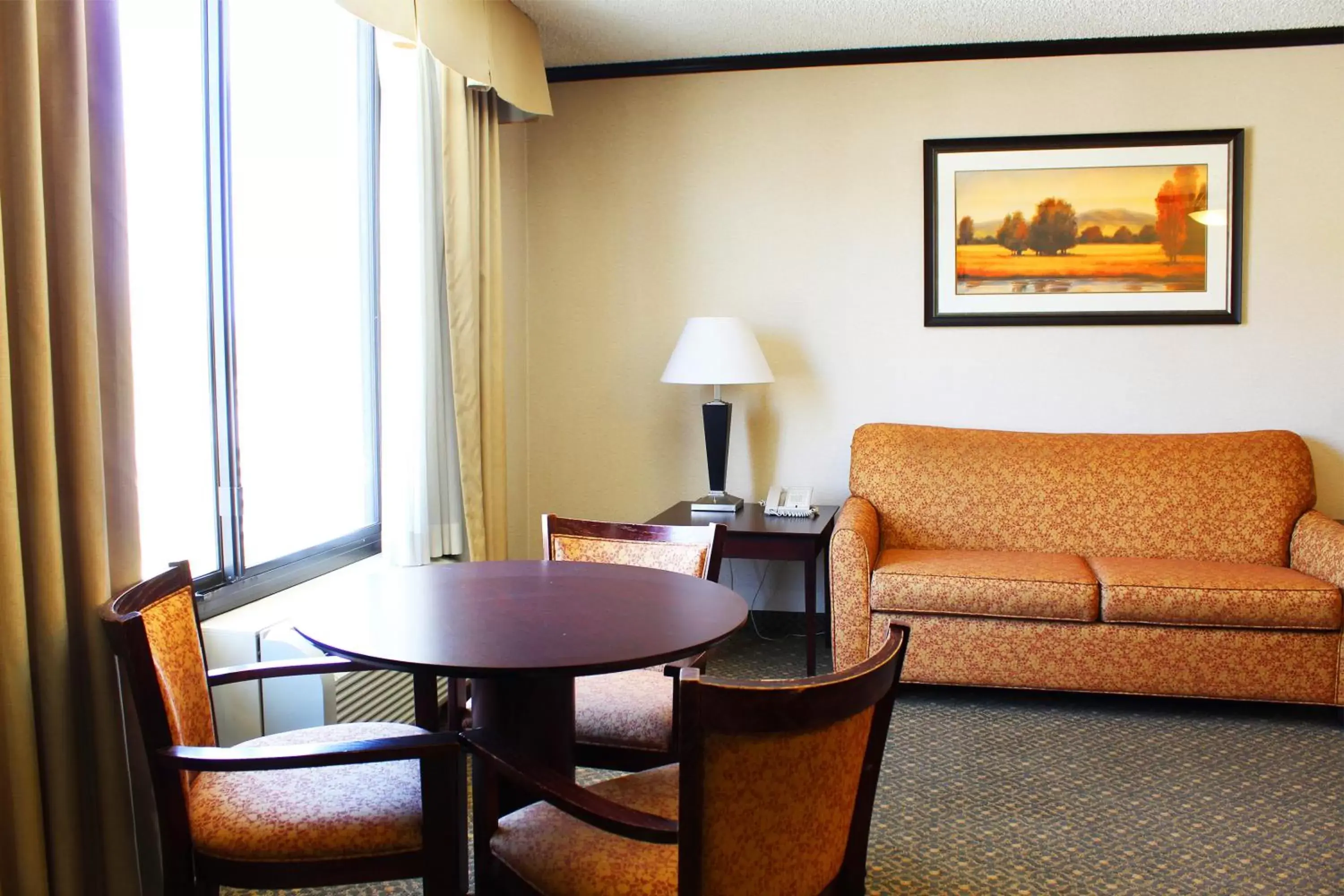 Living room, Seating Area in Hotel Burbank