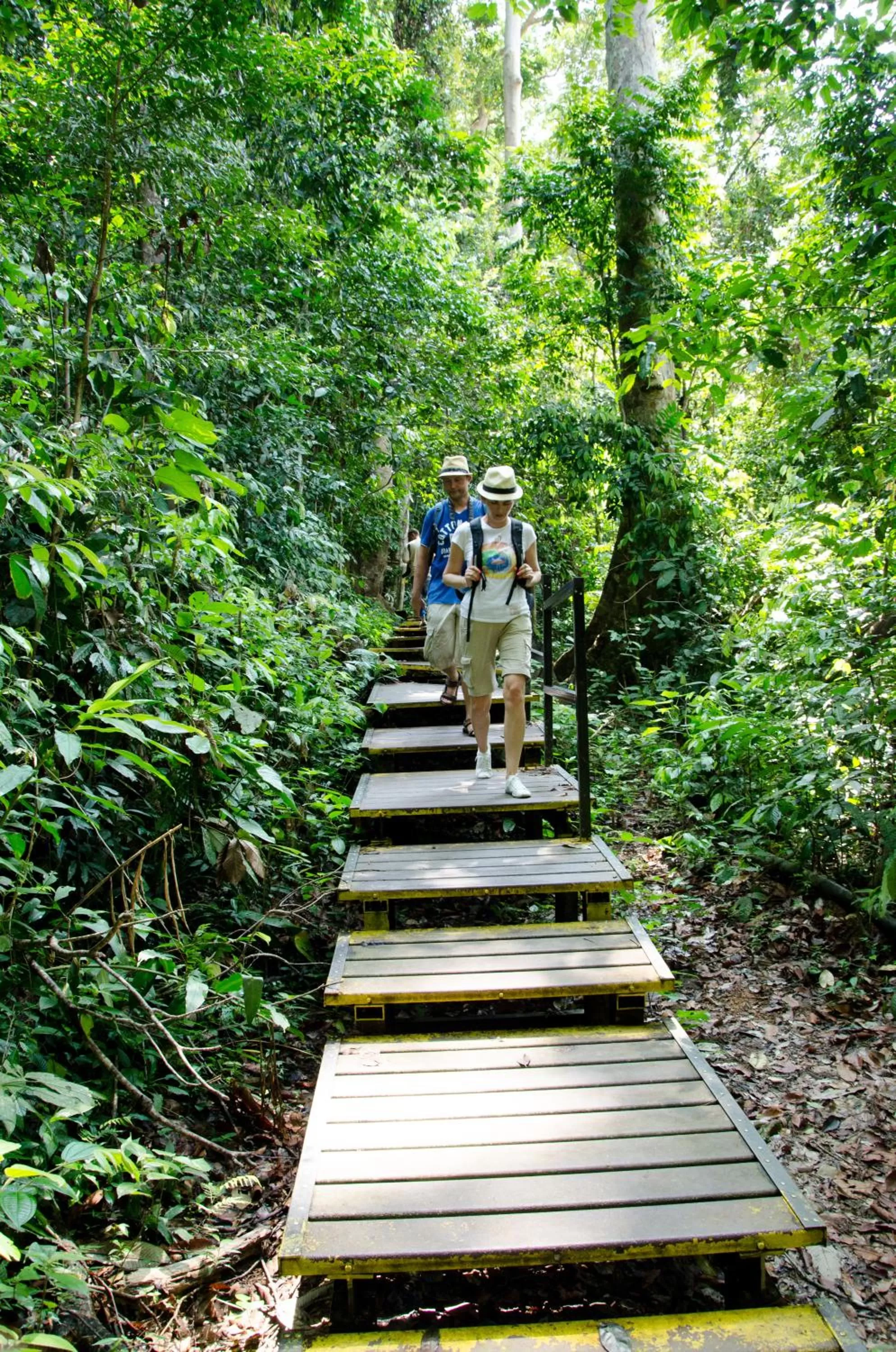 Activities in Mutiara Taman Negara