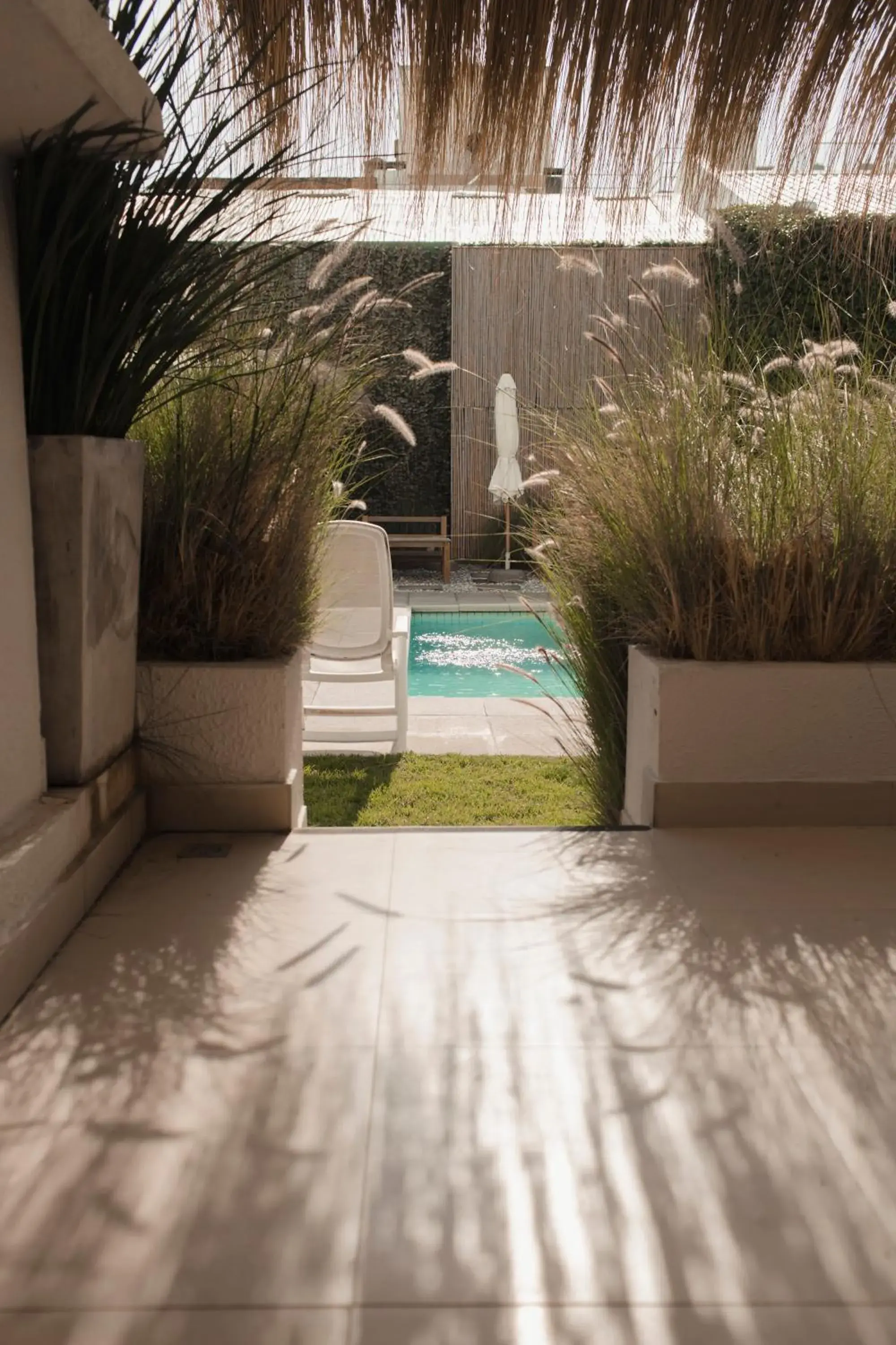 Garden view, Swimming Pool in Atlantico Boutique Hotel