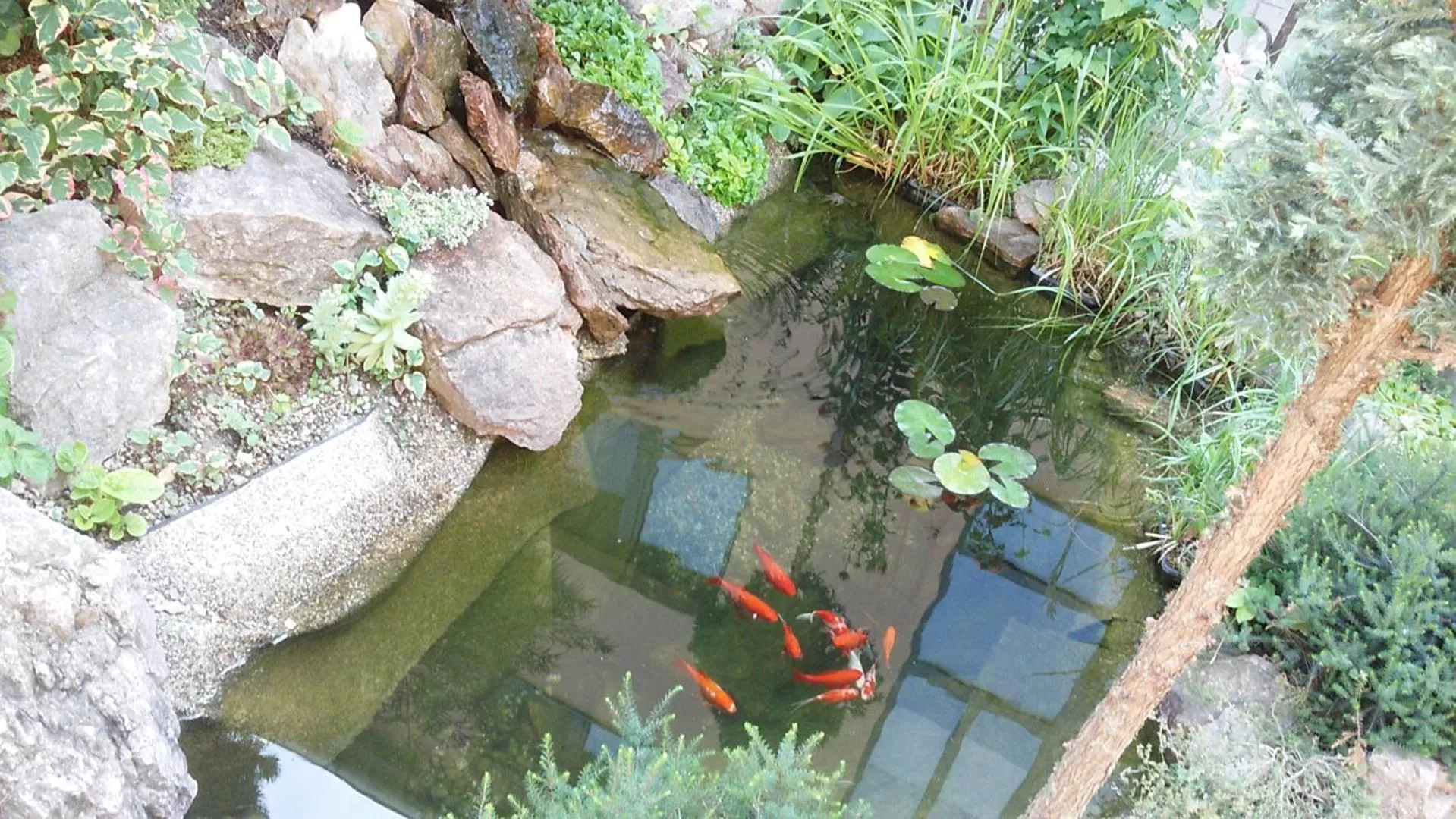 Garden in Hotel Litovel