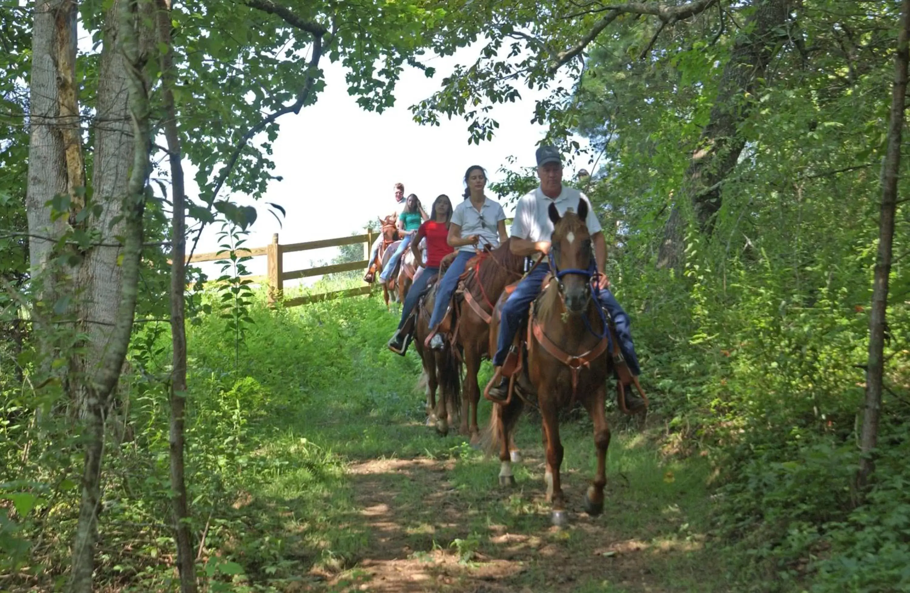 Horse-riding, Horseback Riding in Brasstown Valley Resort & Spa