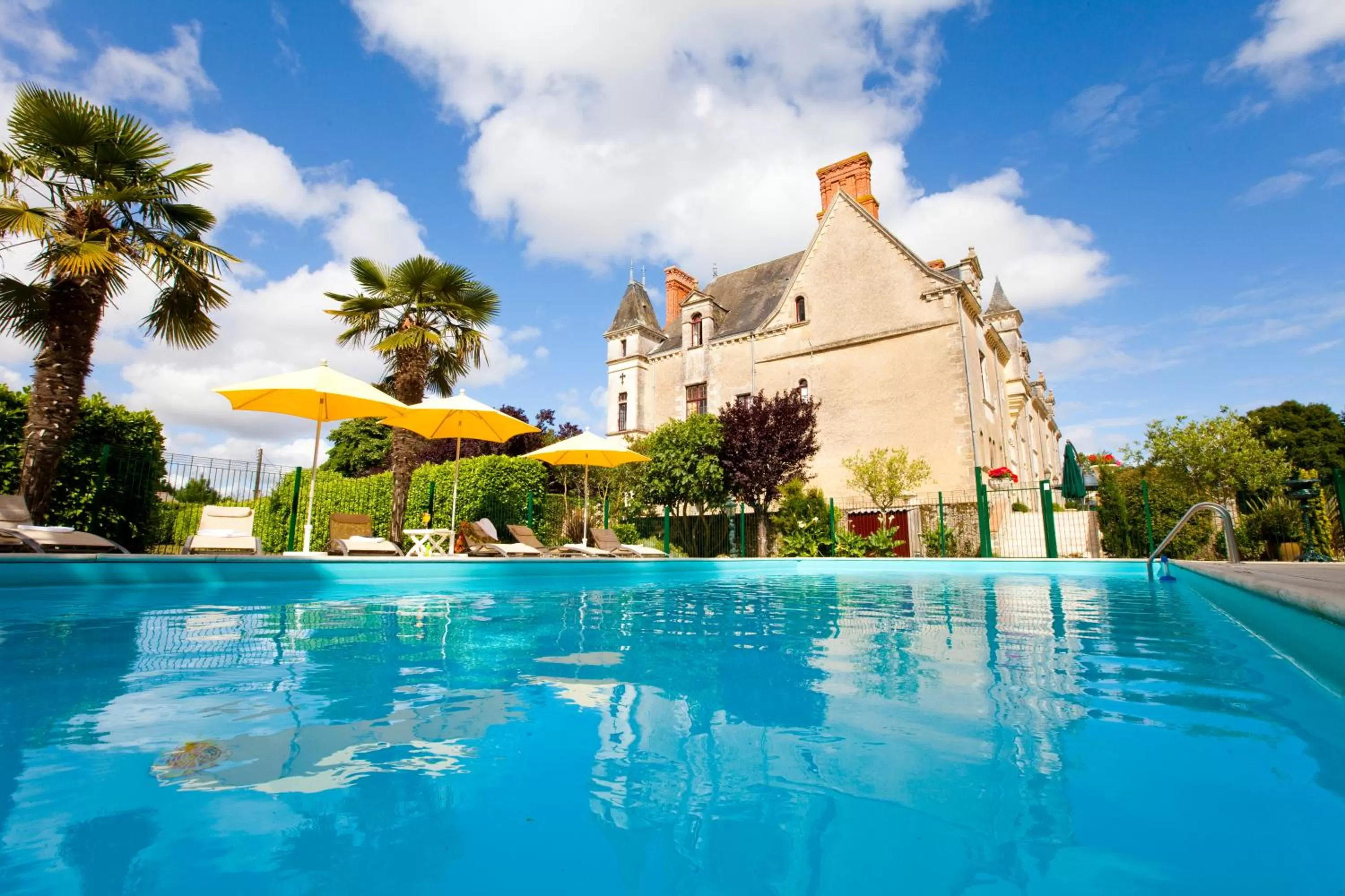 Swimming pool in Château de la Verie