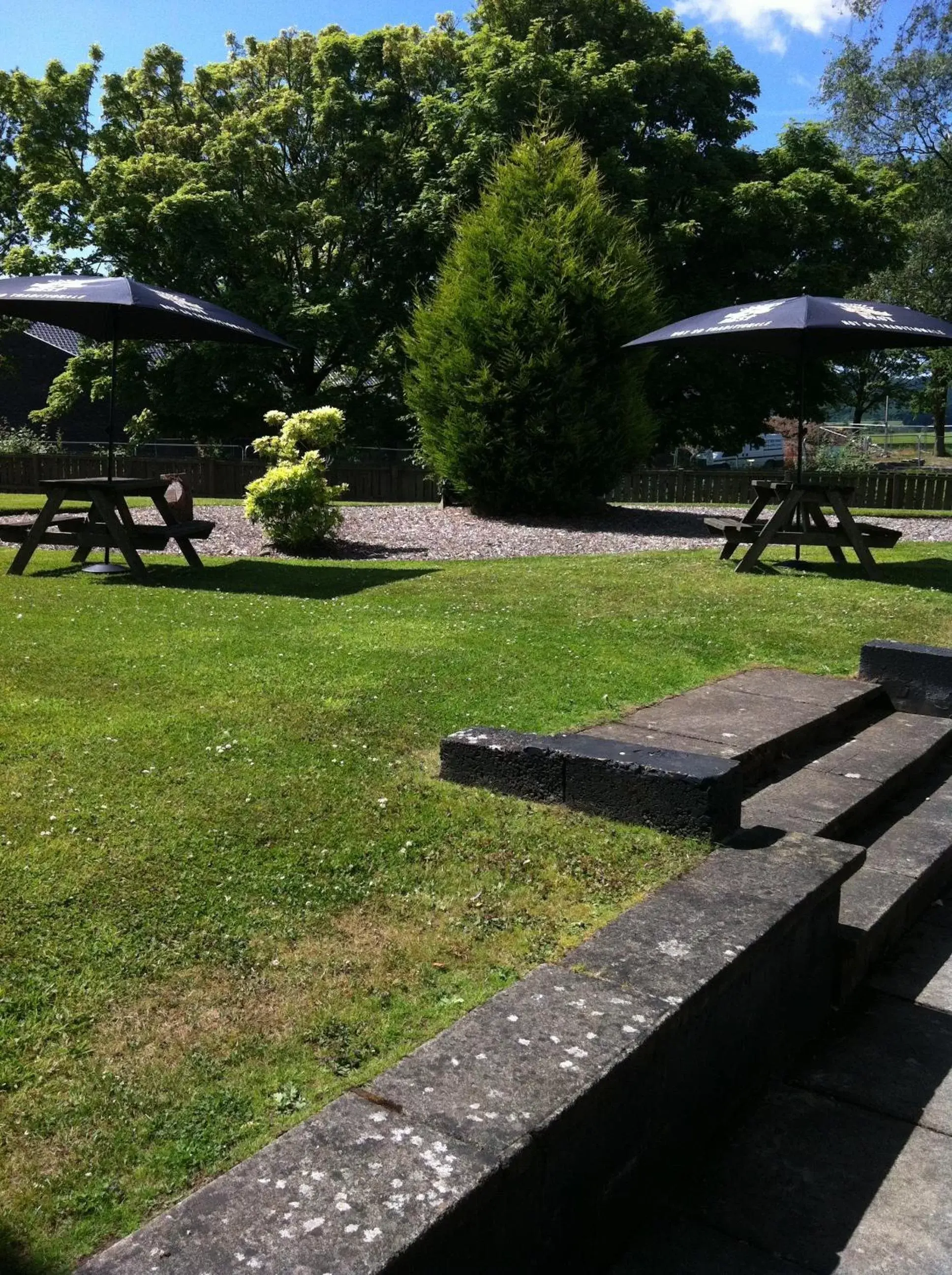 Garden in King Robert Hotel