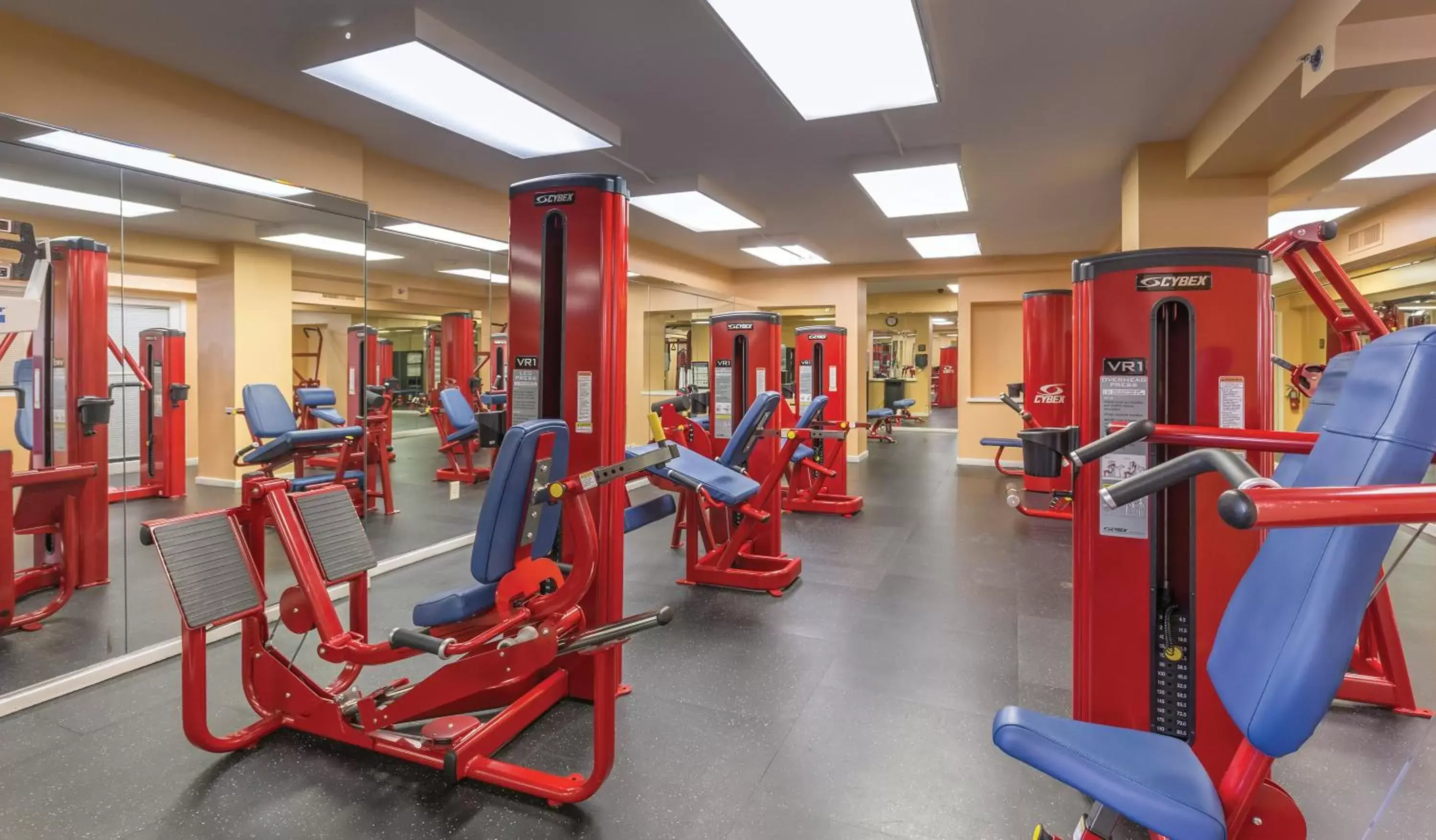 Other, Fitness Center/Facilities in Club Wyndham Avenue Plaza