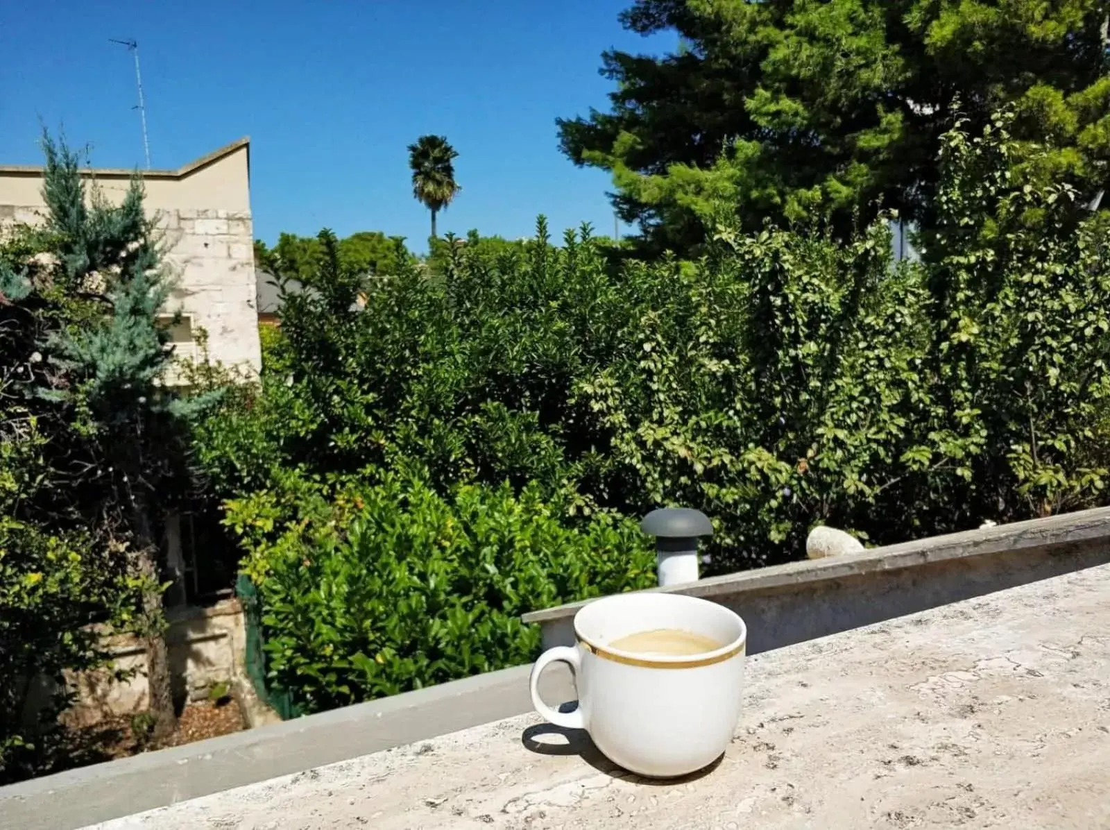 Garden in B&B Apulia Time