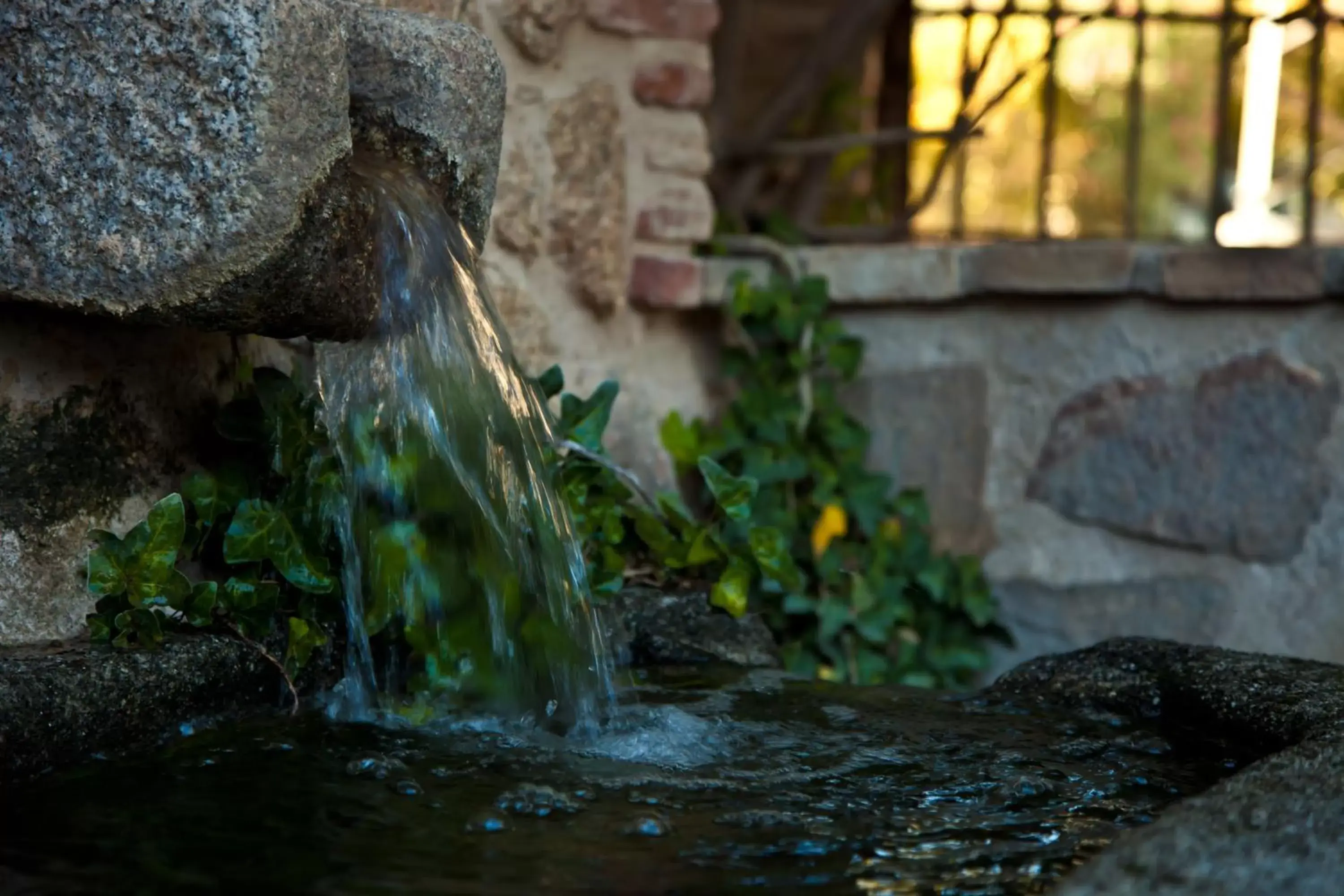 Garden in Cigarral de Caravantes