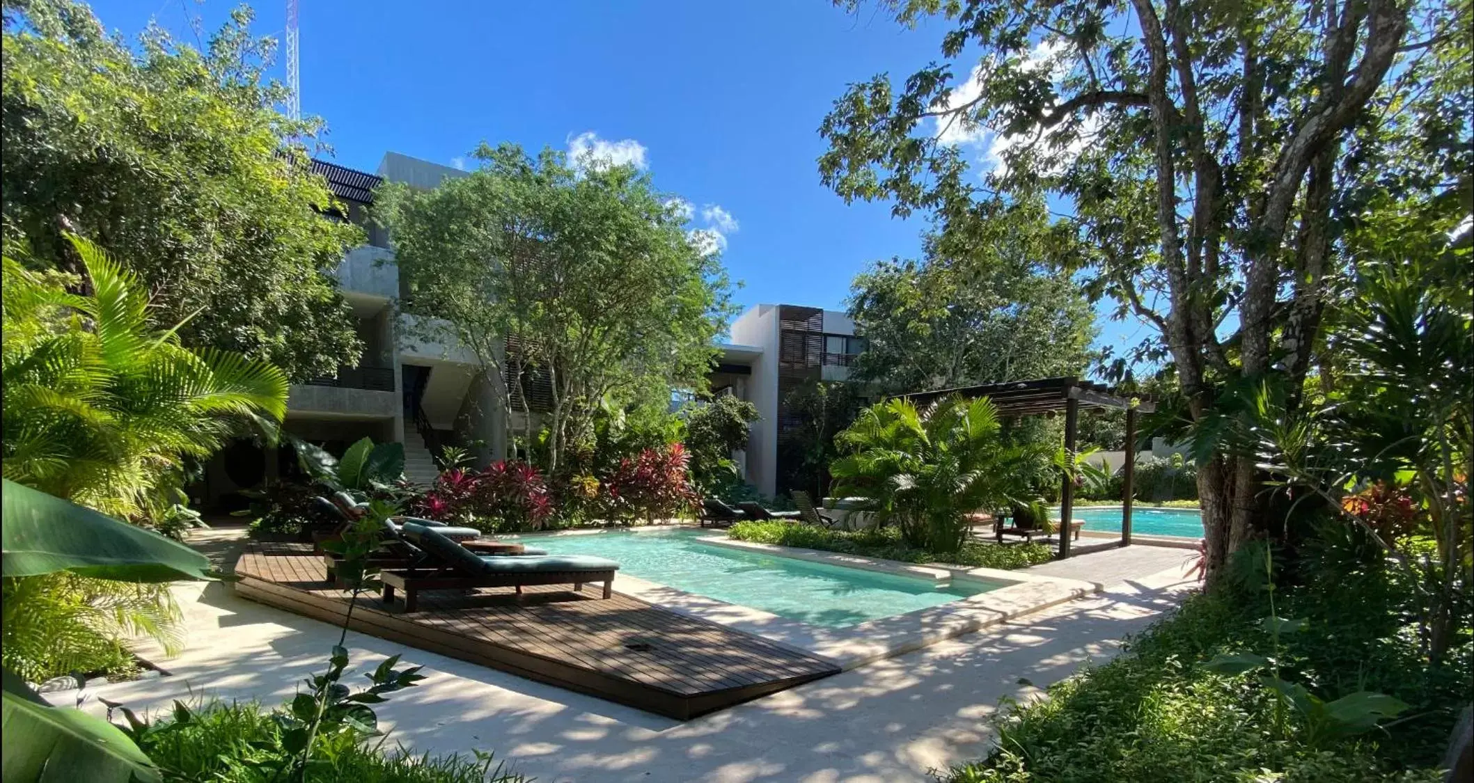 Garden, Swimming Pool in Hotel Panacea Tulum