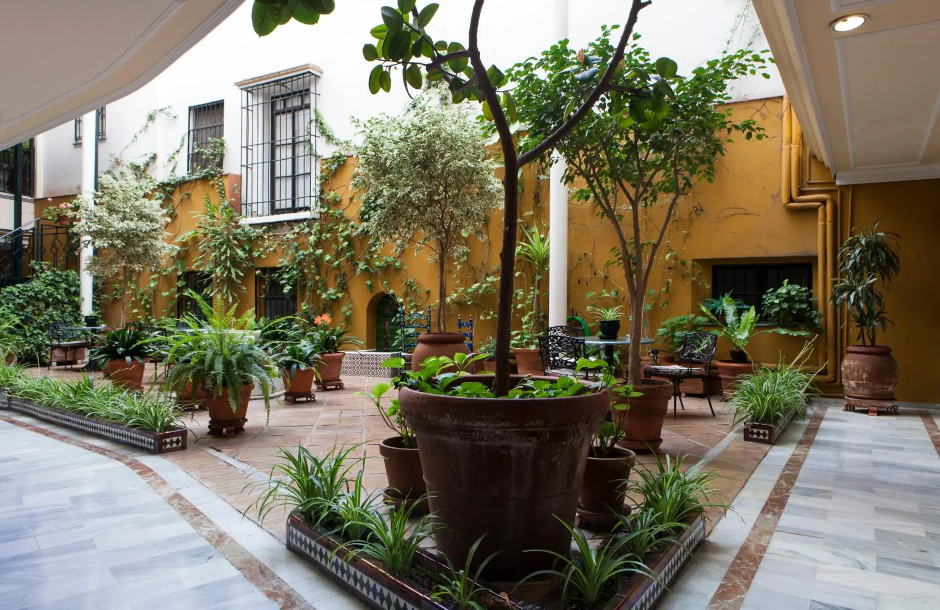 Patio, Patio/Outdoor Area in Hotel Cervantes