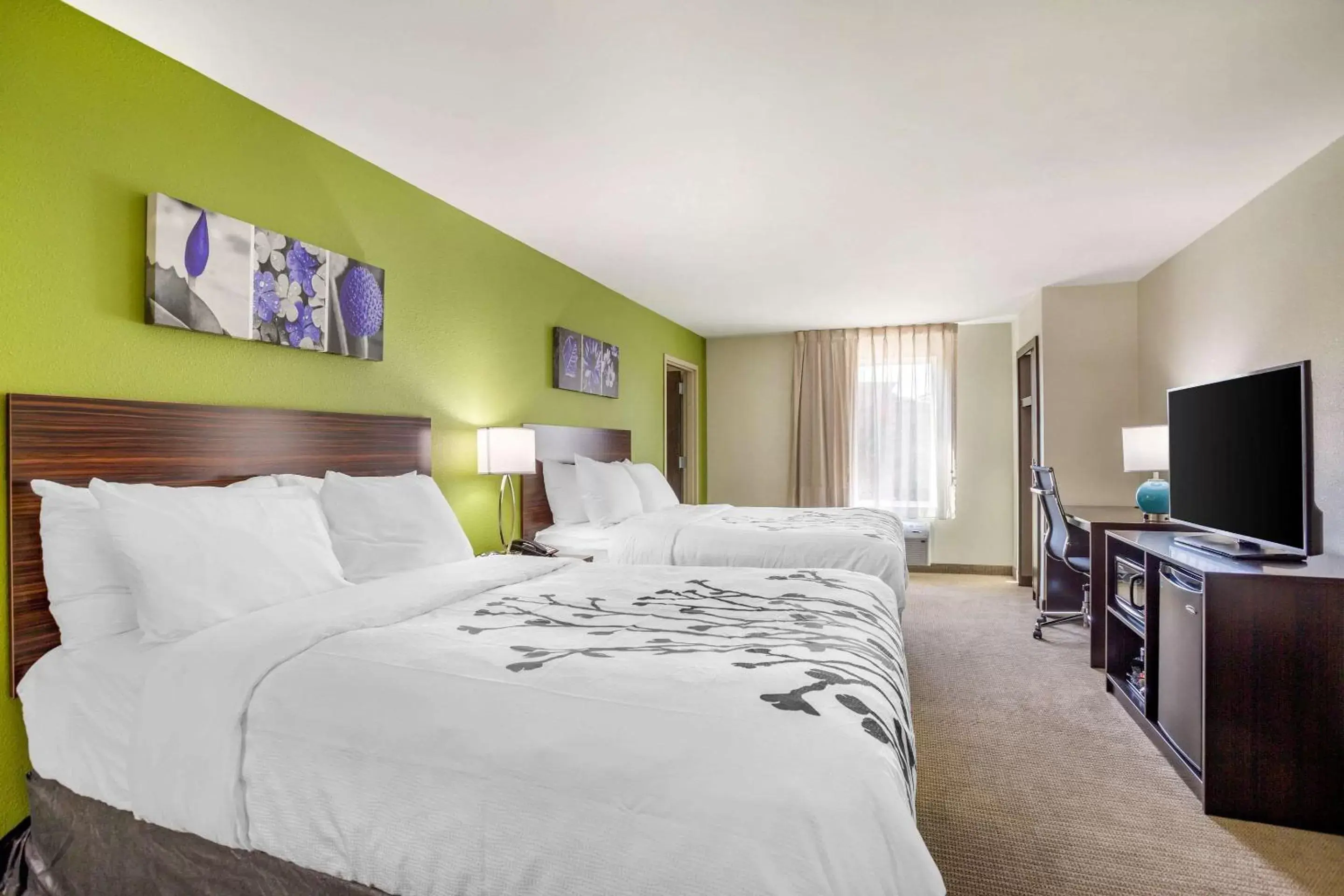 Photo of the whole room, Bed in Sleep Inn & Suites Gallatin - Nashville Metro