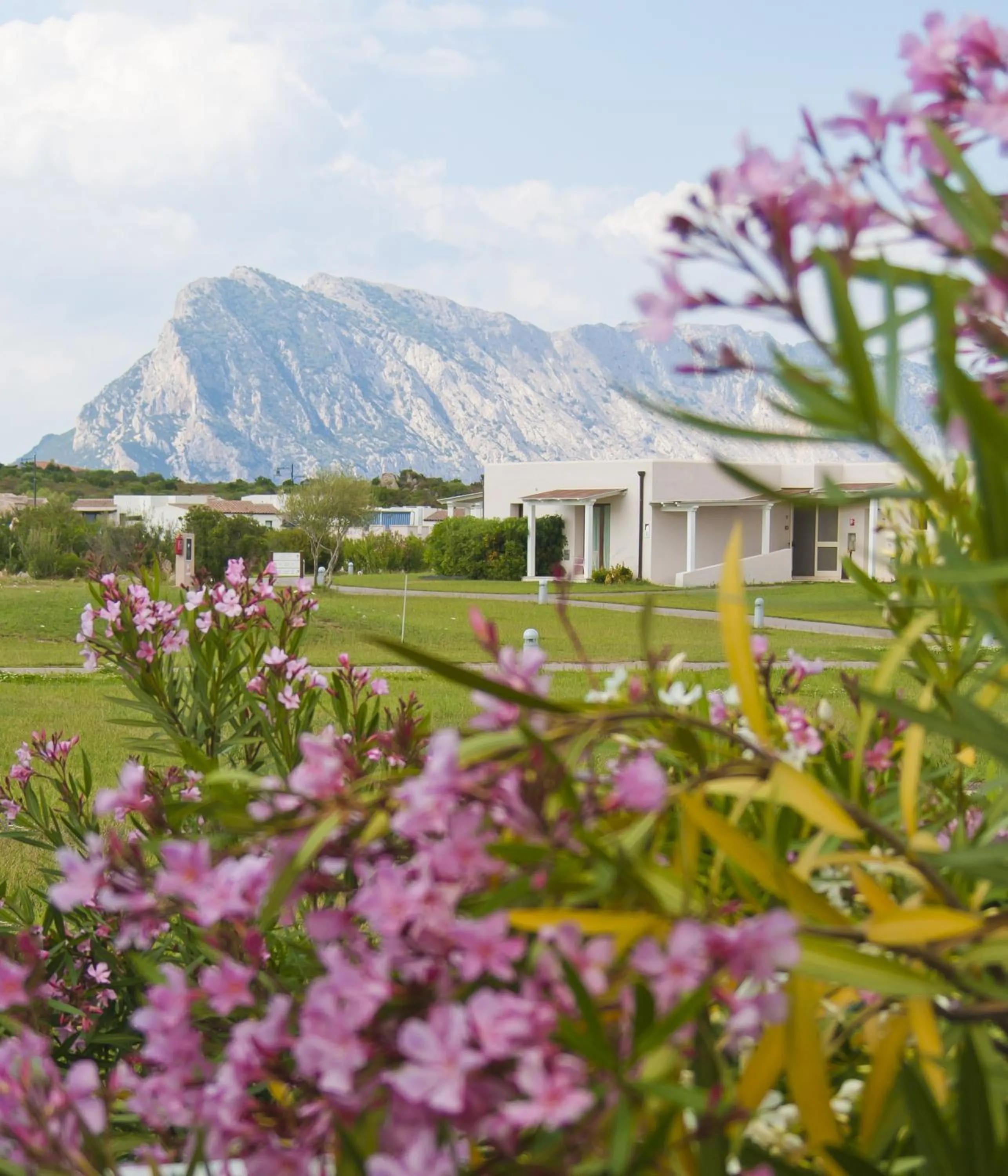 Garden in Grande Baia Resort & Spa