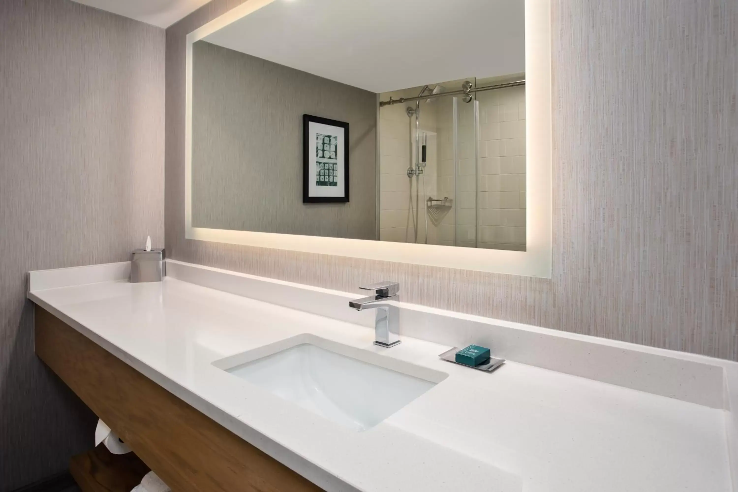 Bathroom in DoubleTree by Hilton Lansing