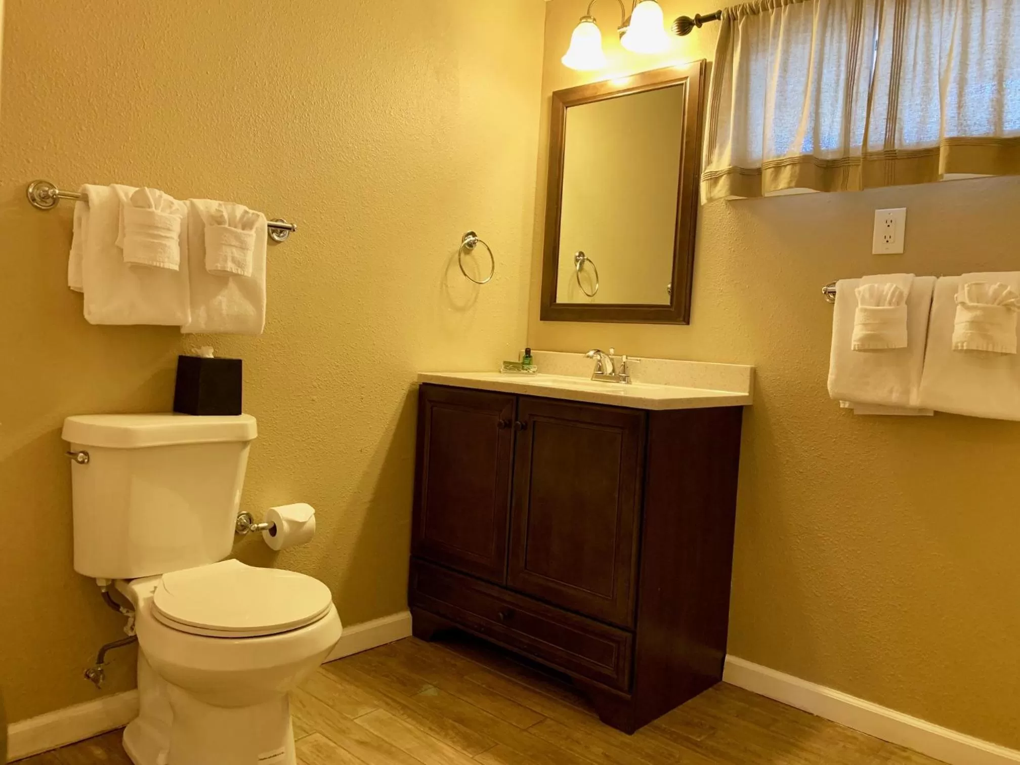 Toilet in Estes Mountain Inn