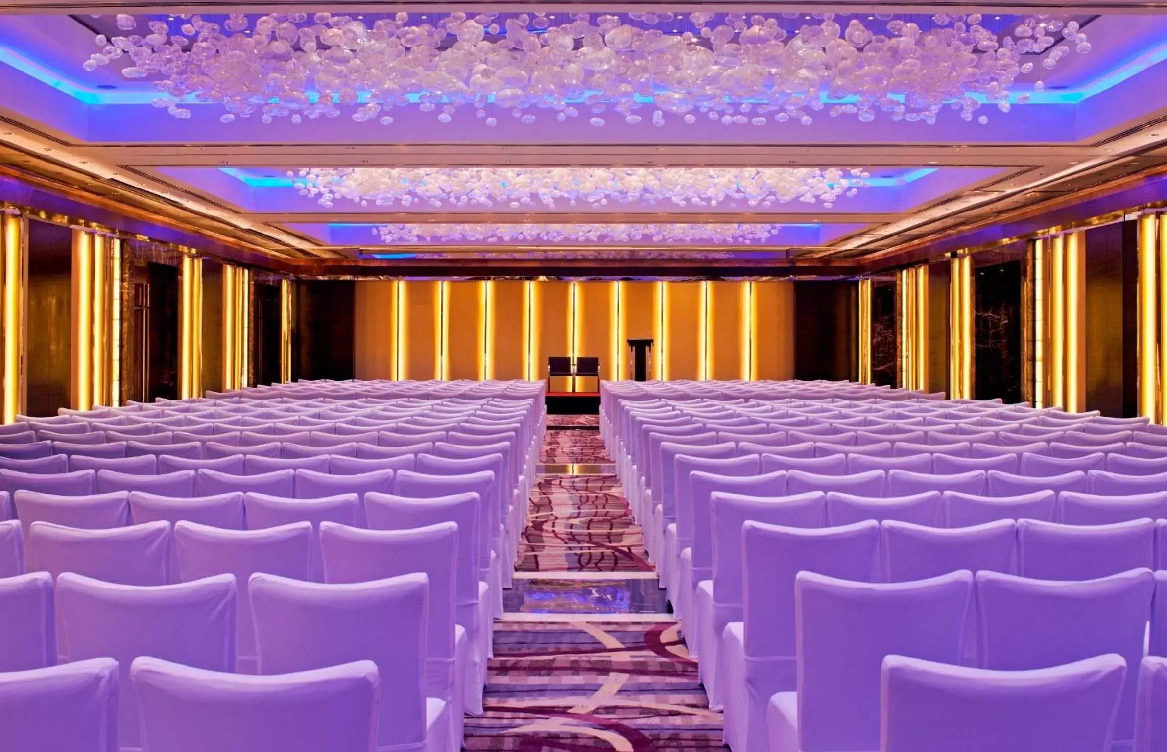 Banquet/Function facilities in Radisson Blu Plaza Delhi Airport