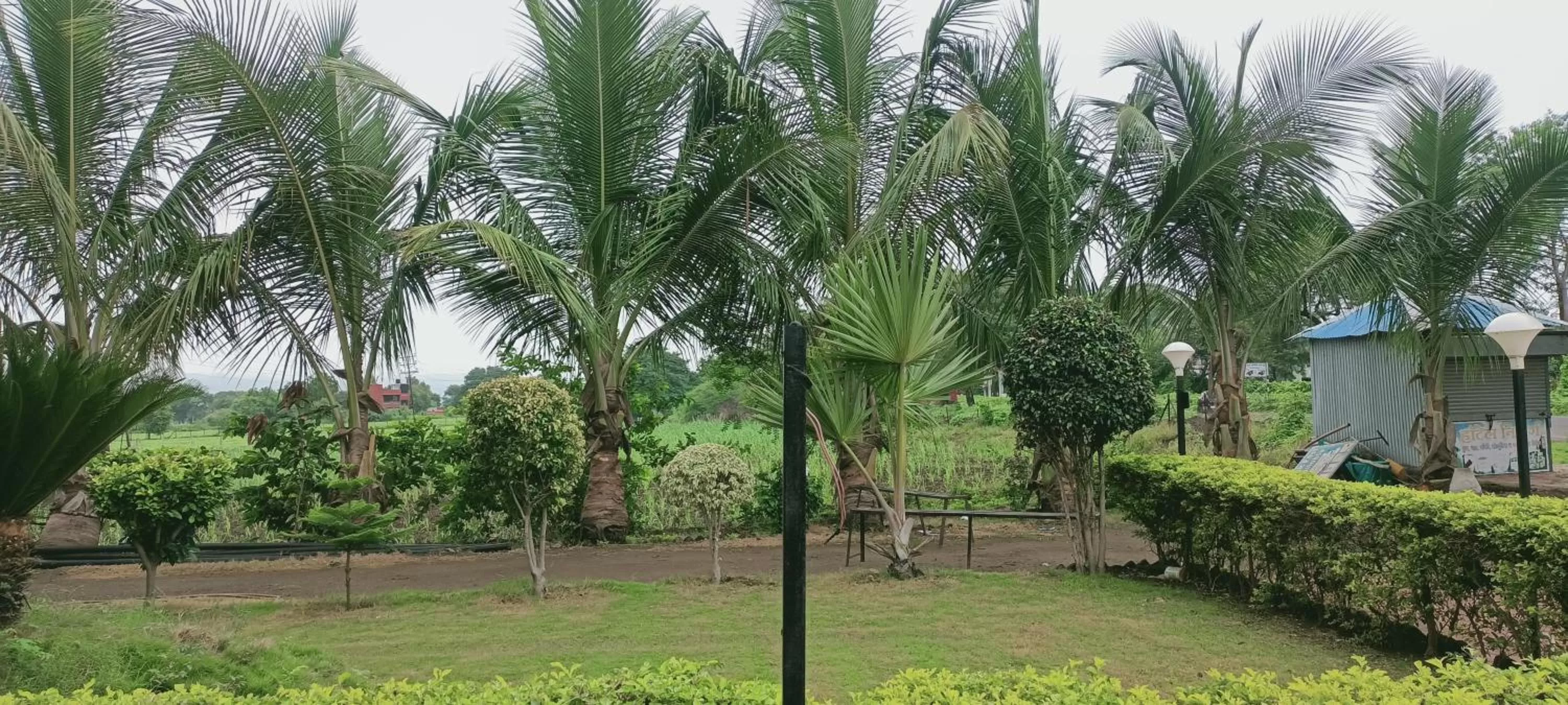 Hotel Nisarg Lodging And Restaurant