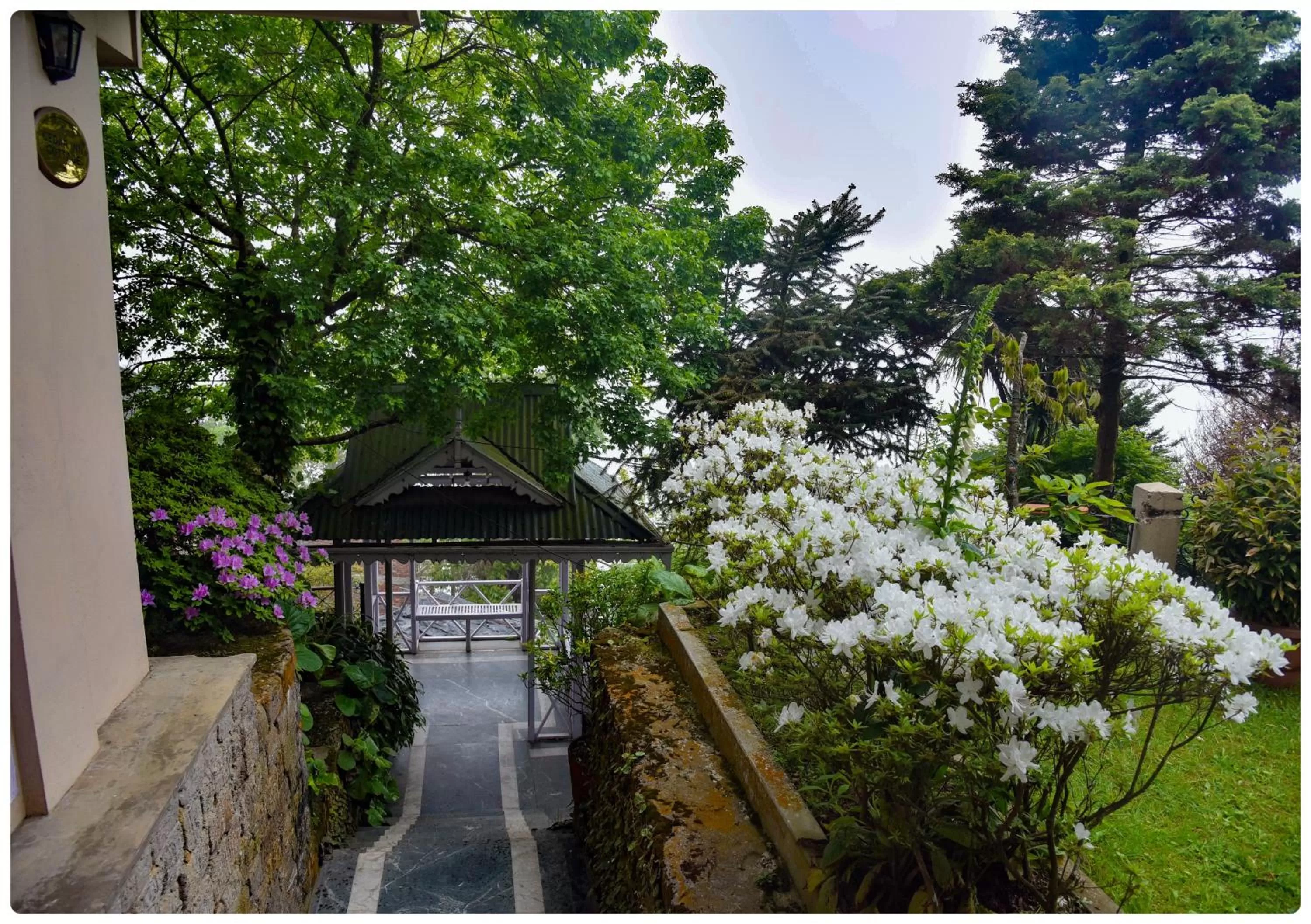 Garden, Property Building in Cedar Inn