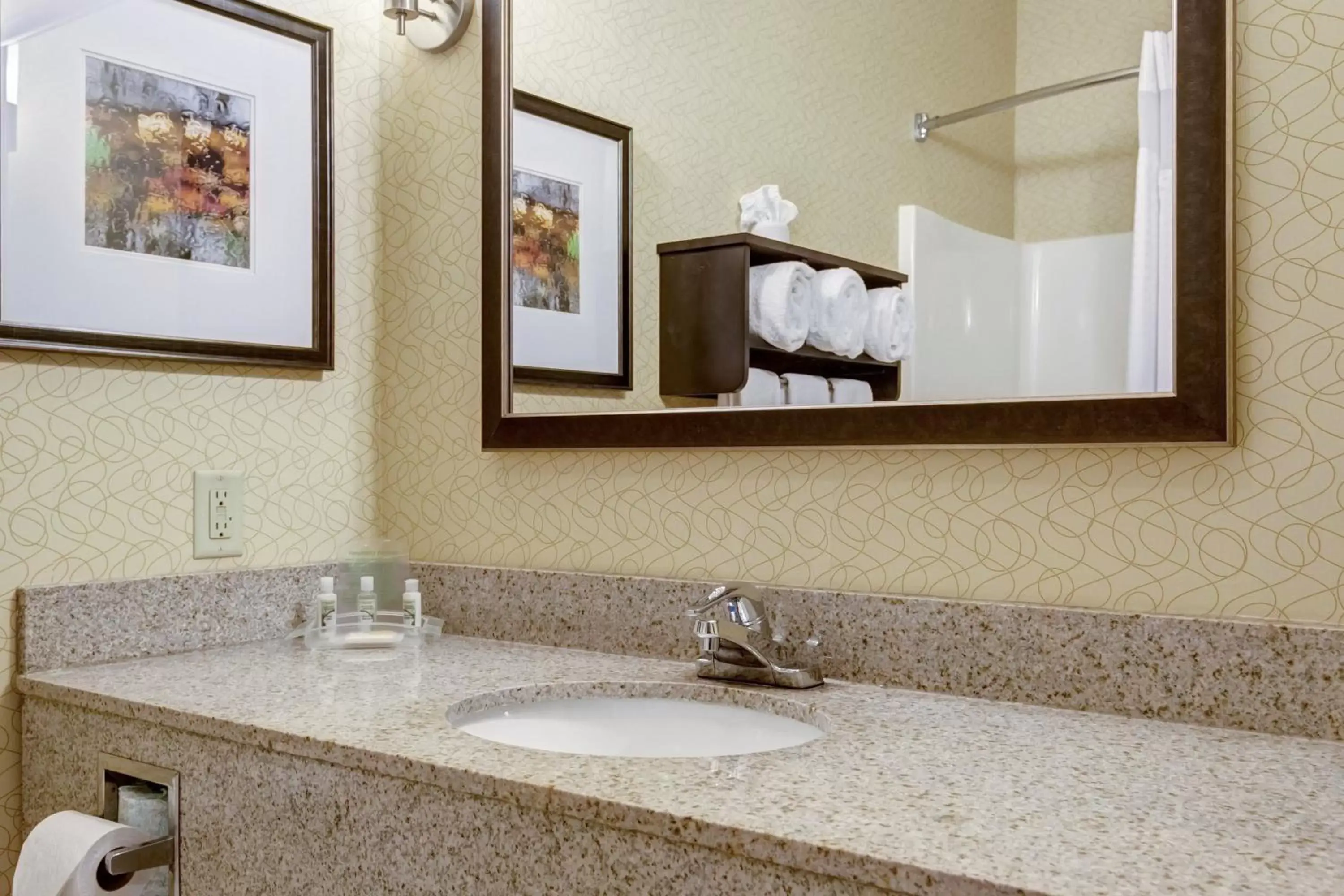 Photo of the whole room, Bathroom in Holiday Inn Poplar Bluff, an IHG Hotel