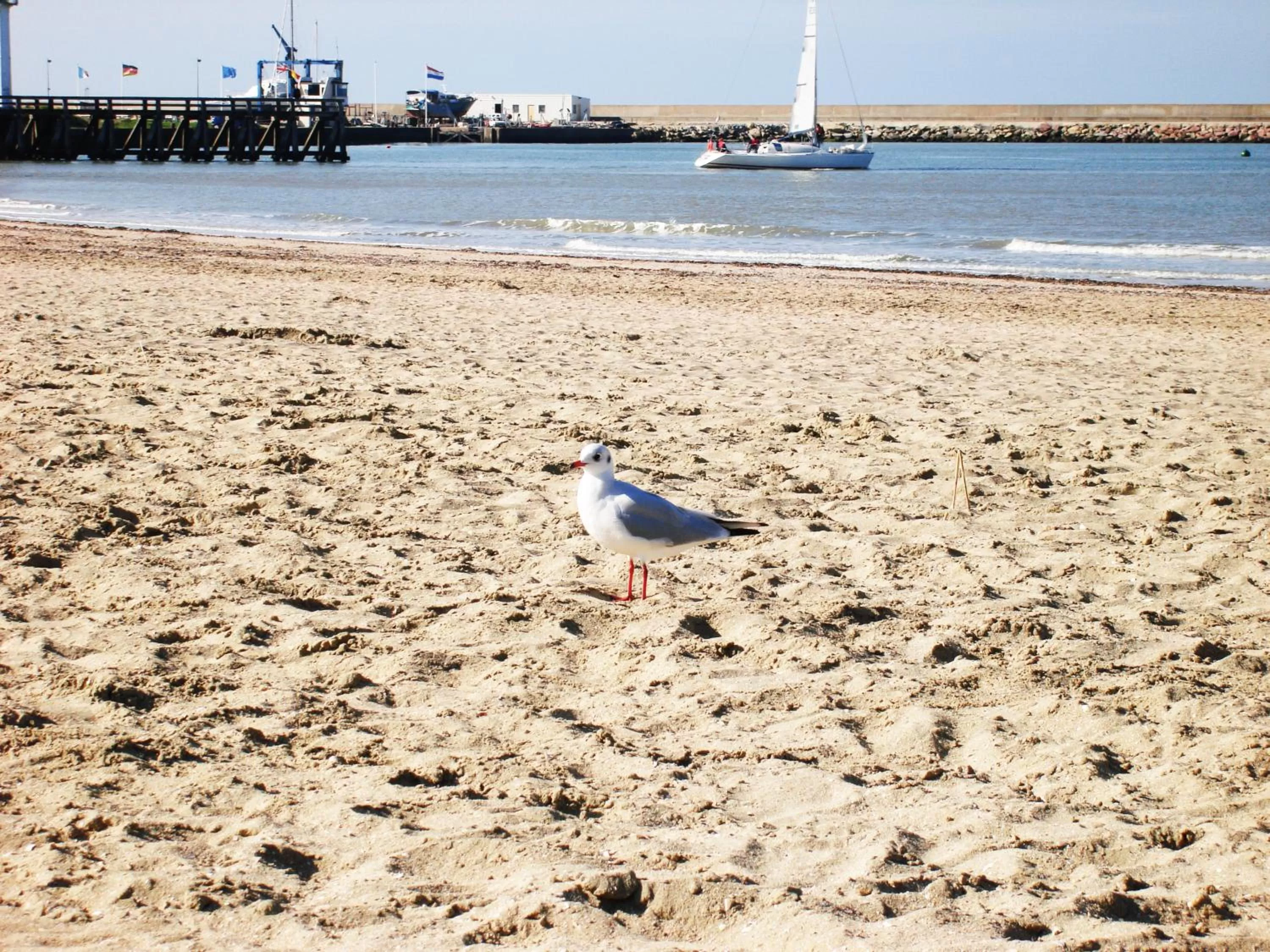 Beach in La Romance et la Romanesque