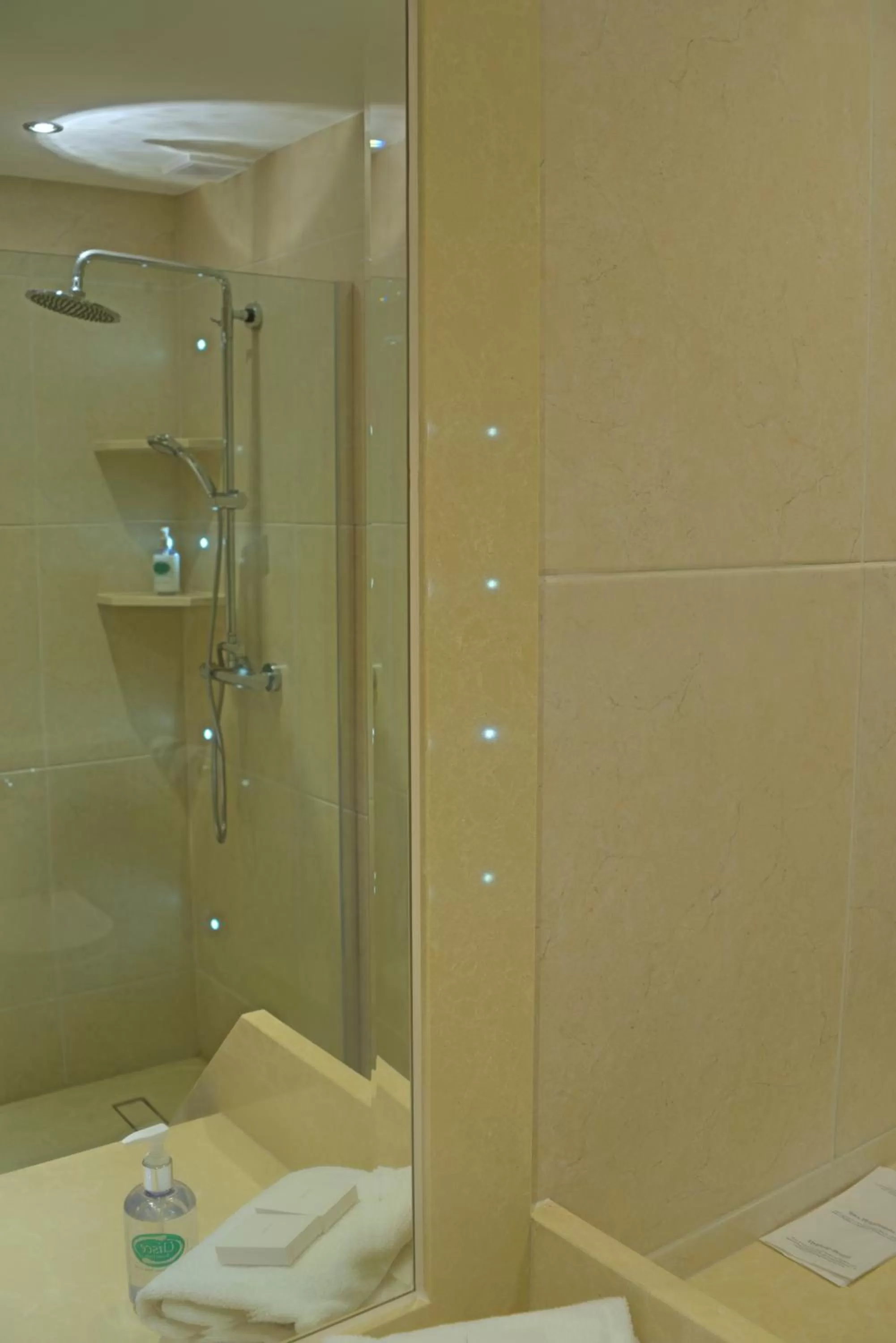 Bathroom in Four Seasons Hotel & Leisure Club