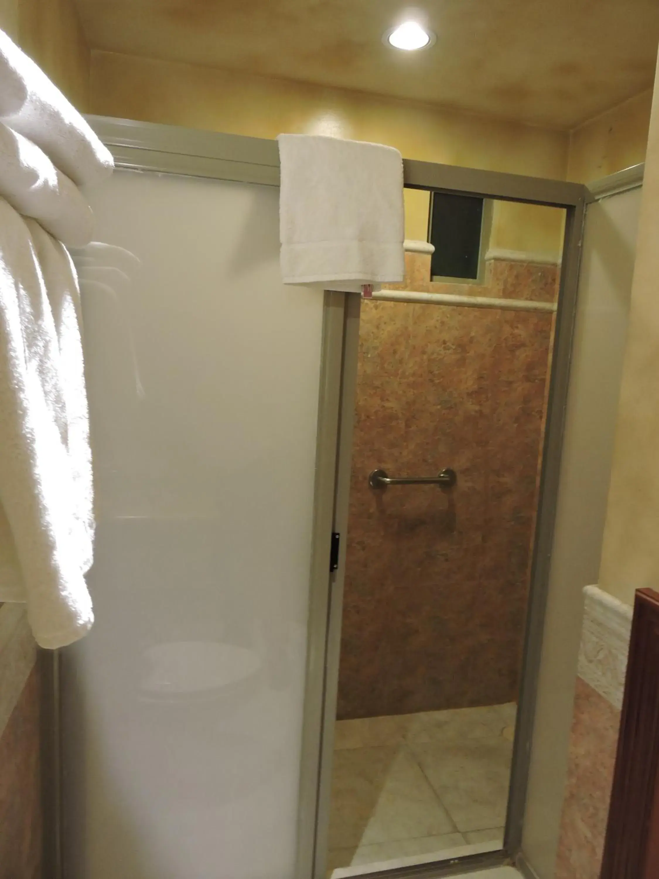 Shower, Bathroom in Hotel Quinta Cesar