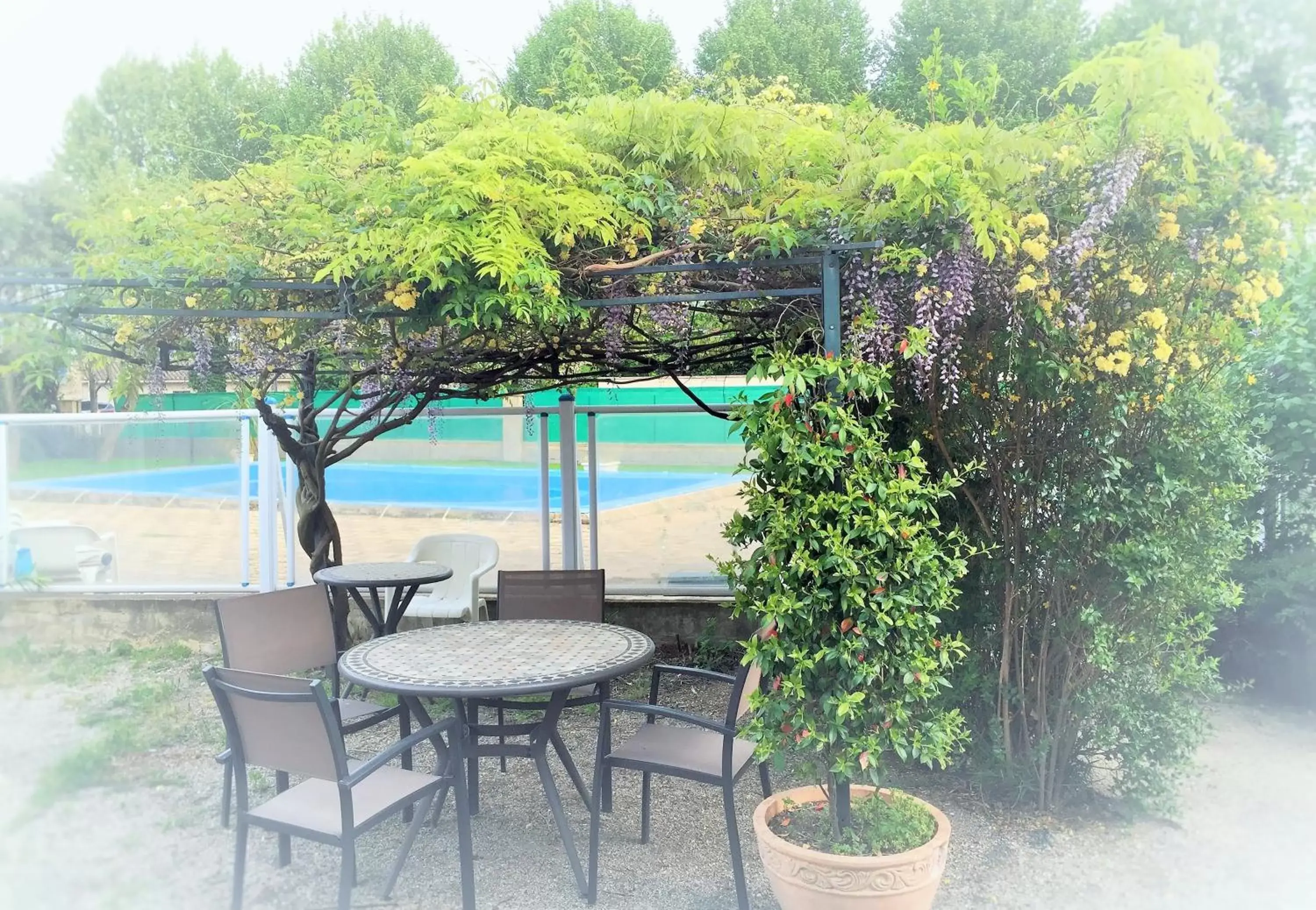 Day, Patio/Outdoor Area in Logis Hôtel Le Clement V