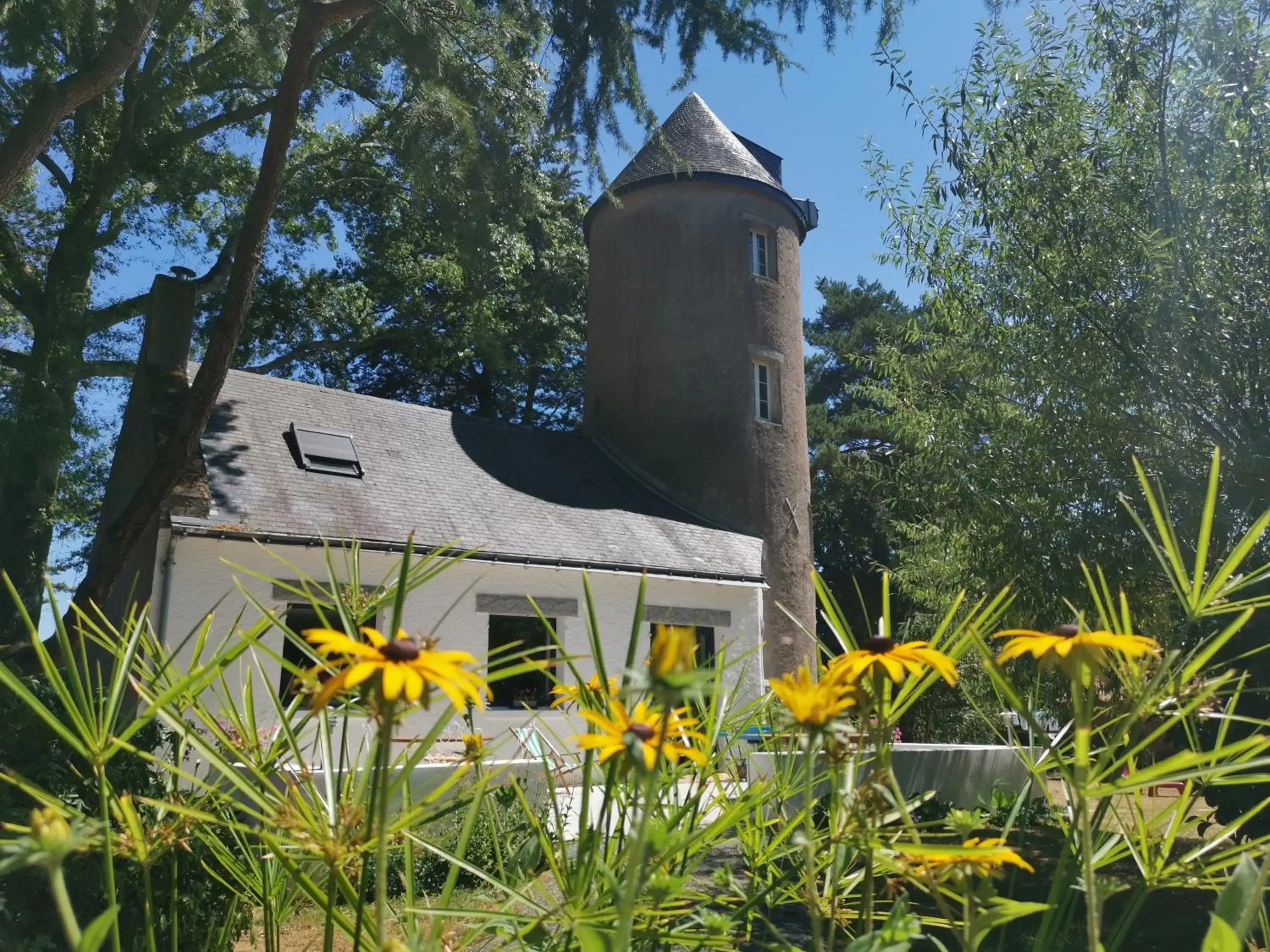 Day, Property Building in Le moulin de La Retardière