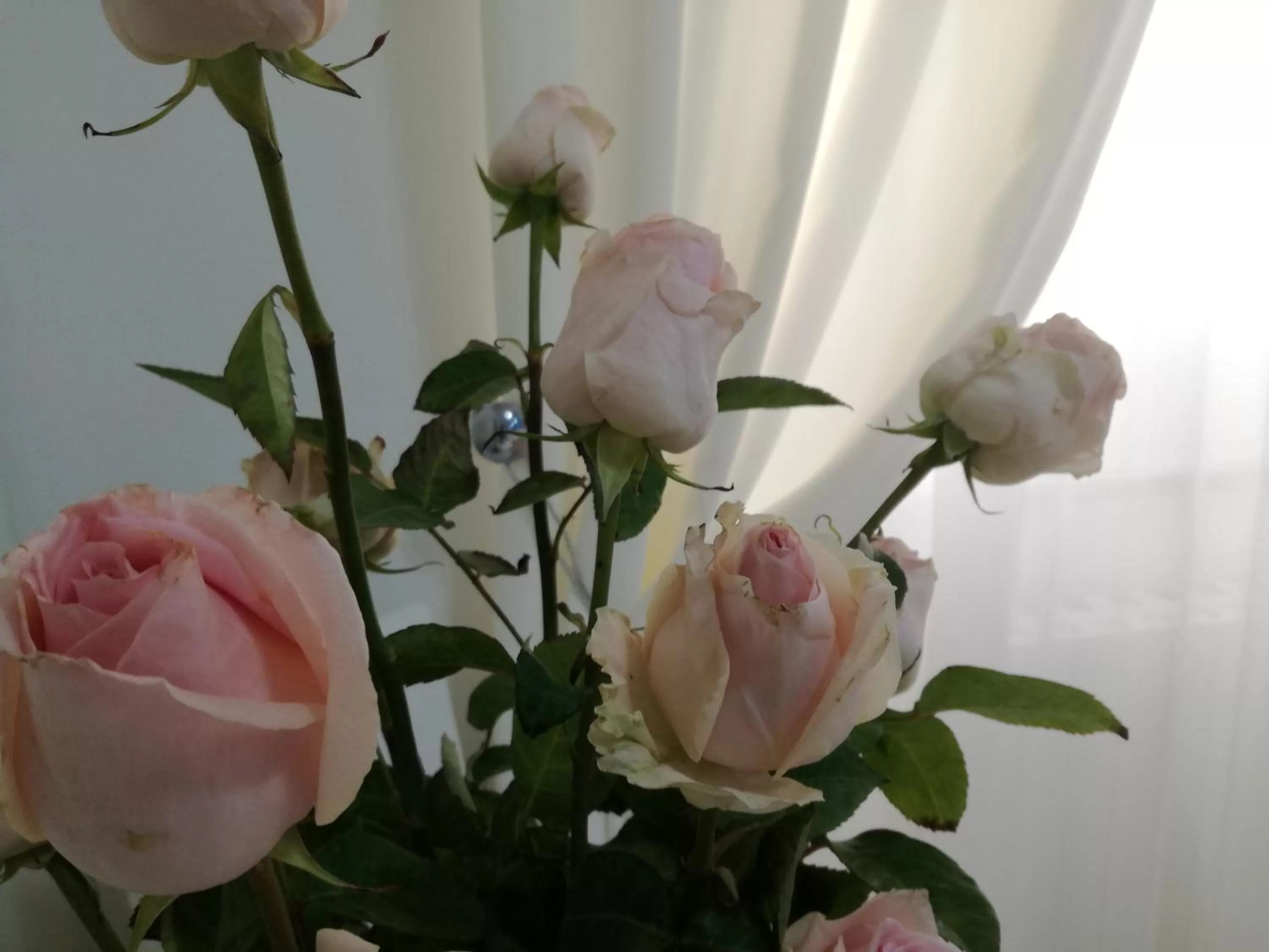 Decorative detail in Casa del Corso