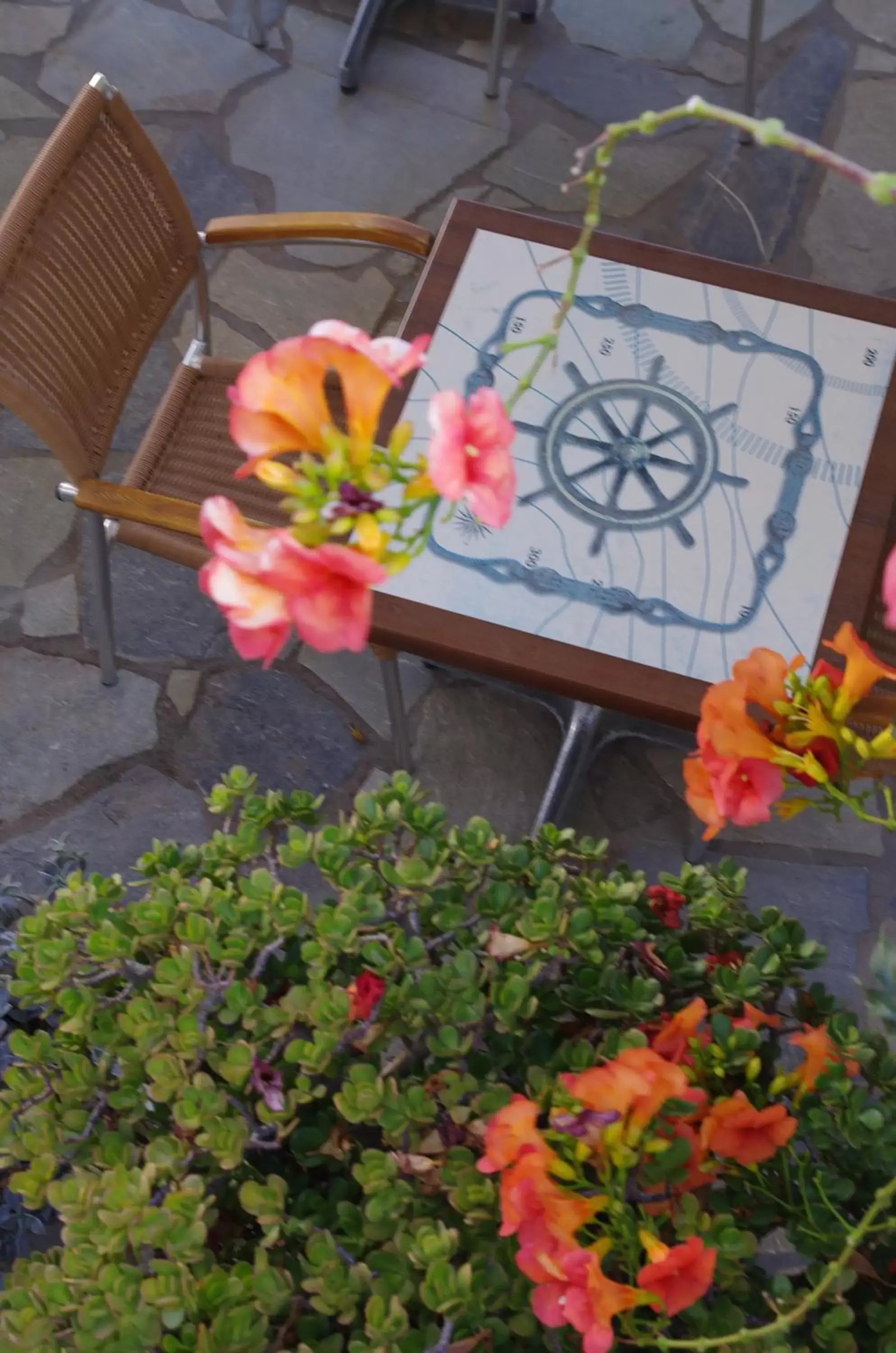 Patio in Effie Hotel