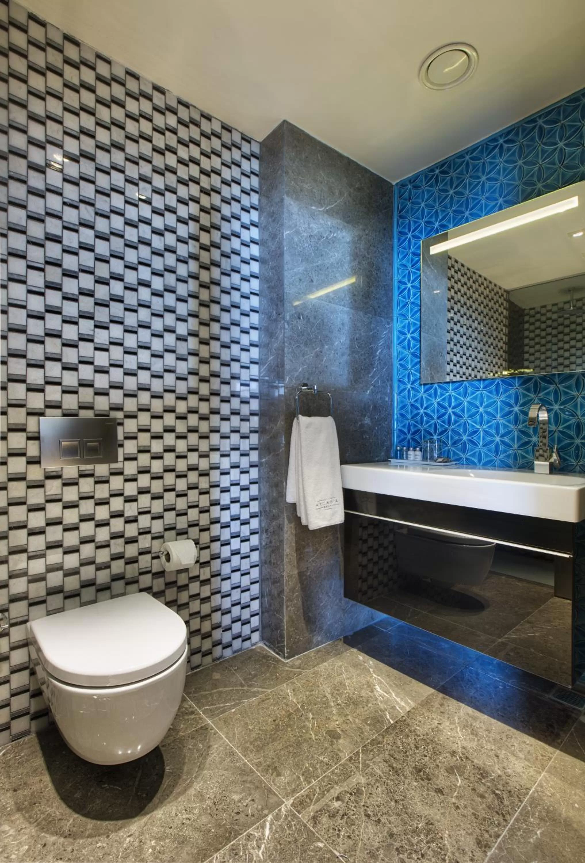 Toilet in Hotel Arcadia Blue Istanbul