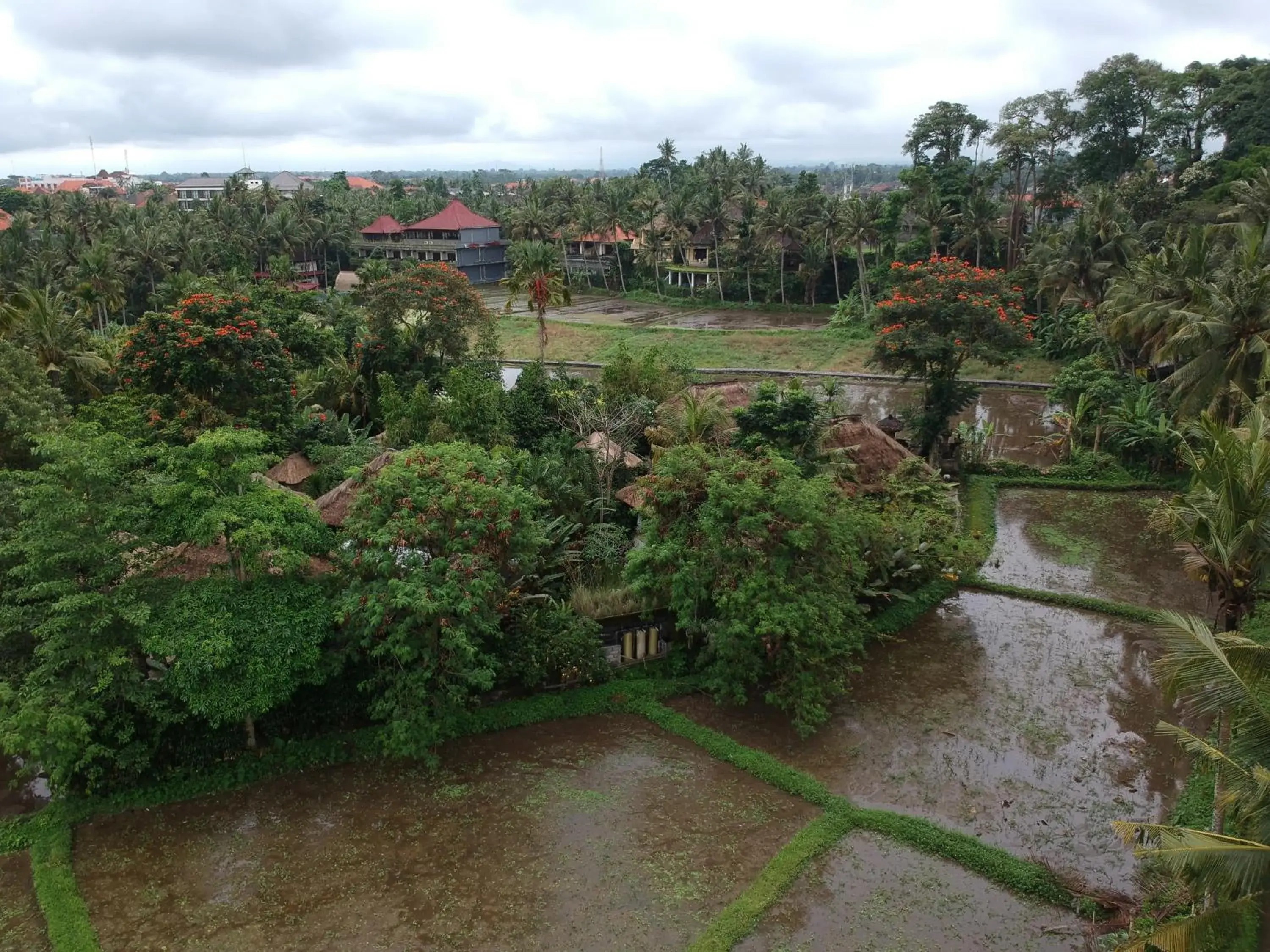 Bird's eye view in Byasa Ubud Hotel