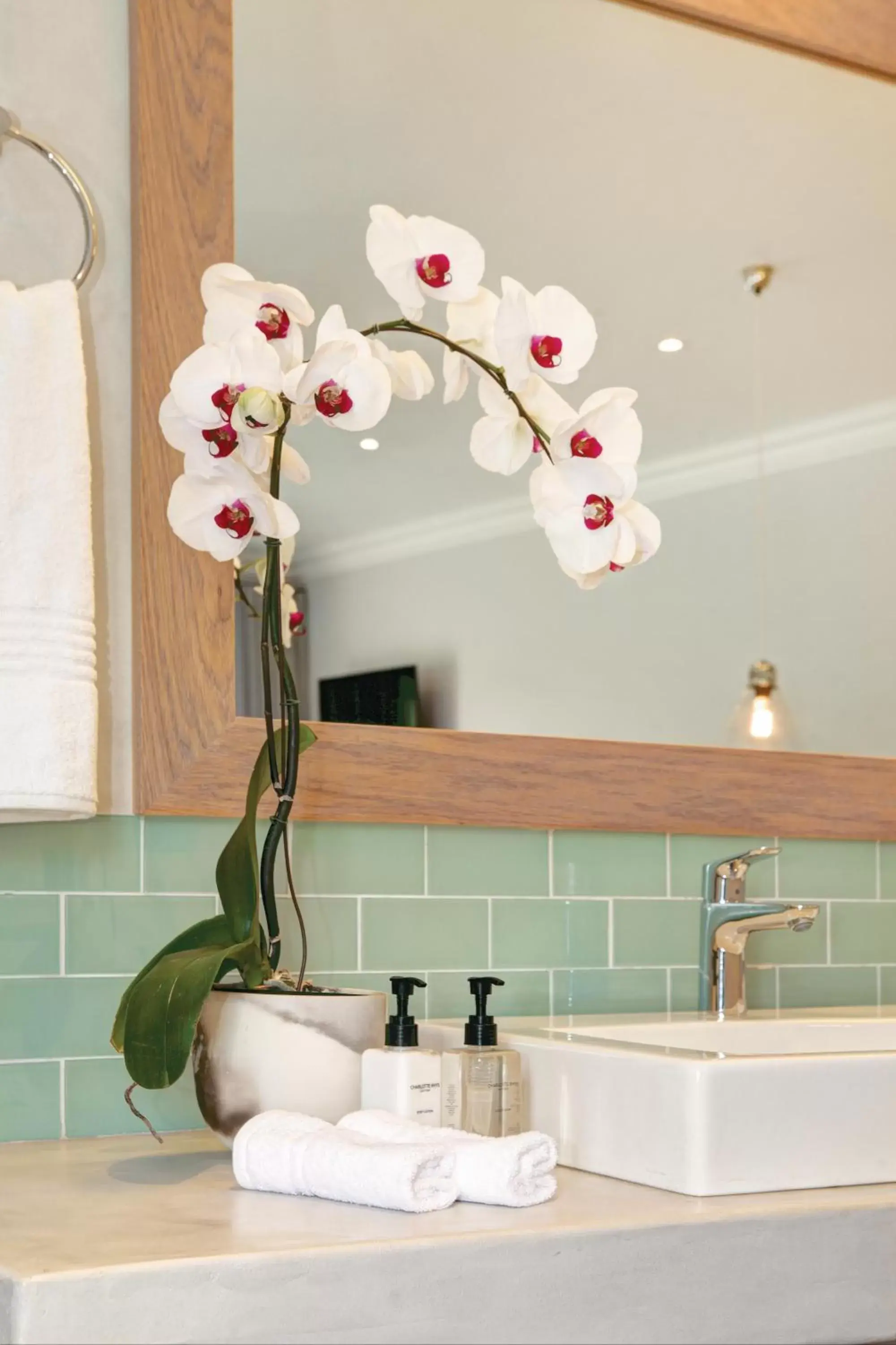 Bathroom in Knysna Hollow Country Estate