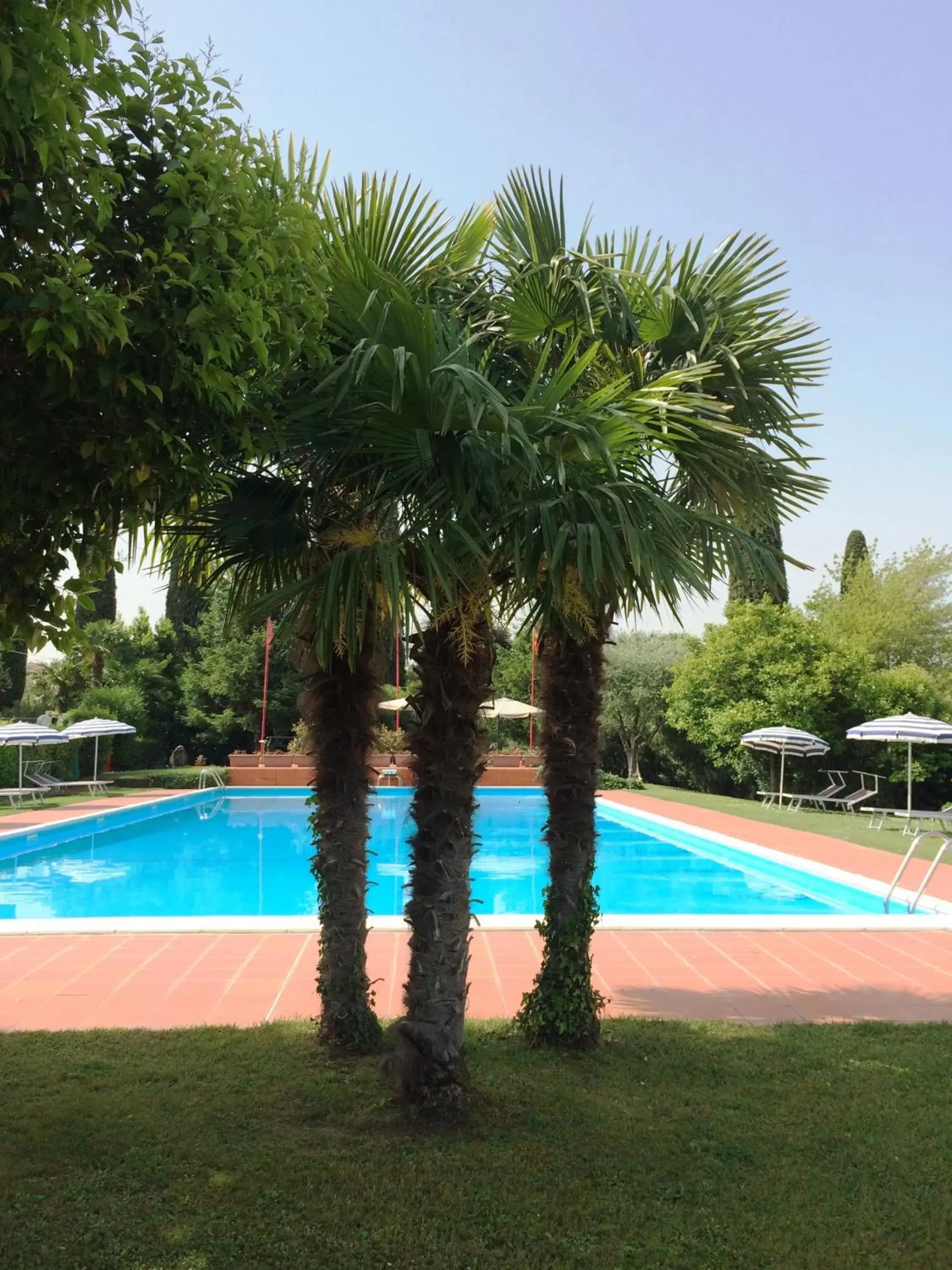 Day, Swimming Pool in La Fattoria Apartments