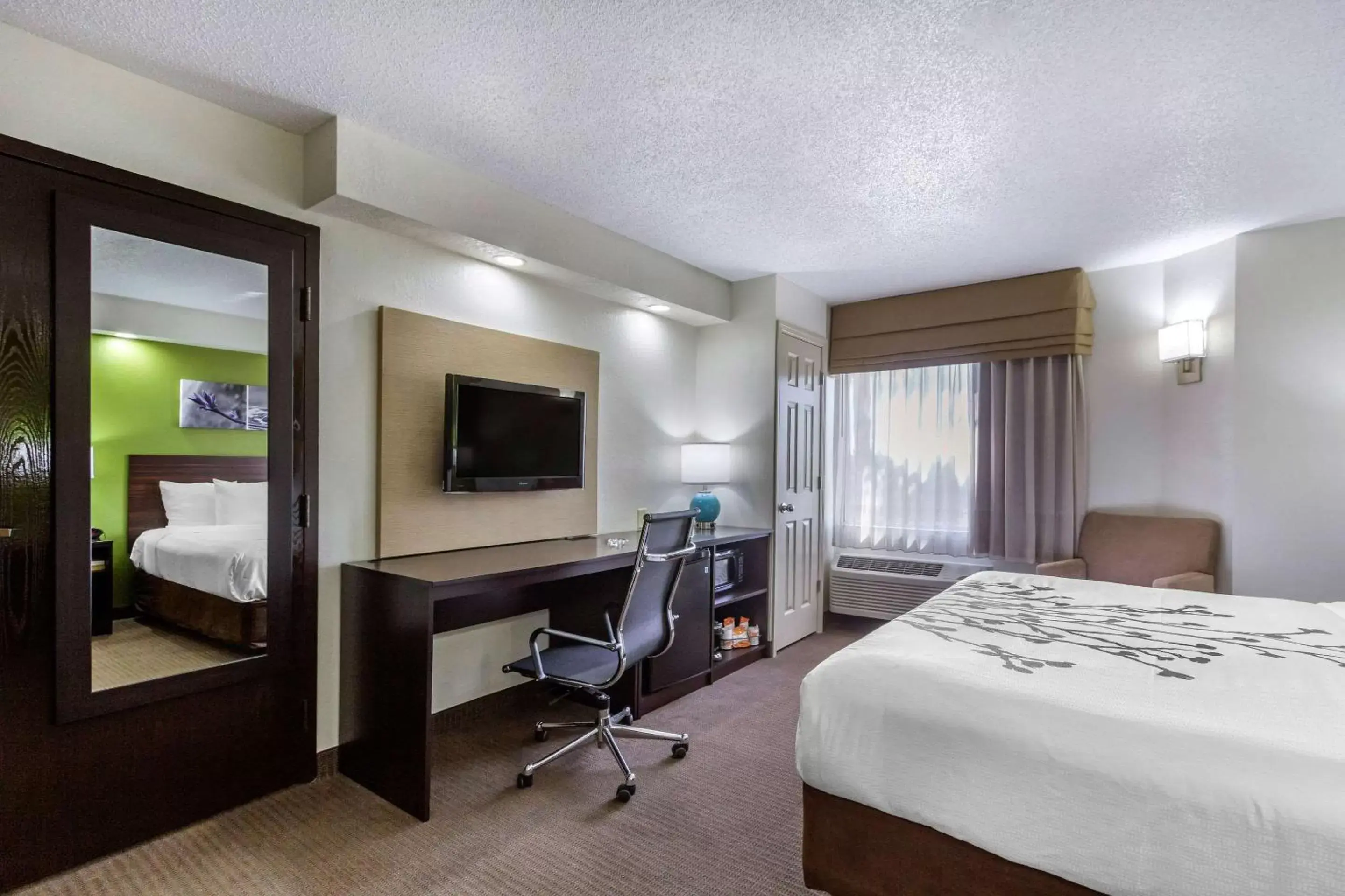 Photo of the whole room, TV/Entertainment Center in Sleep Inn near Busch Gardens - USF