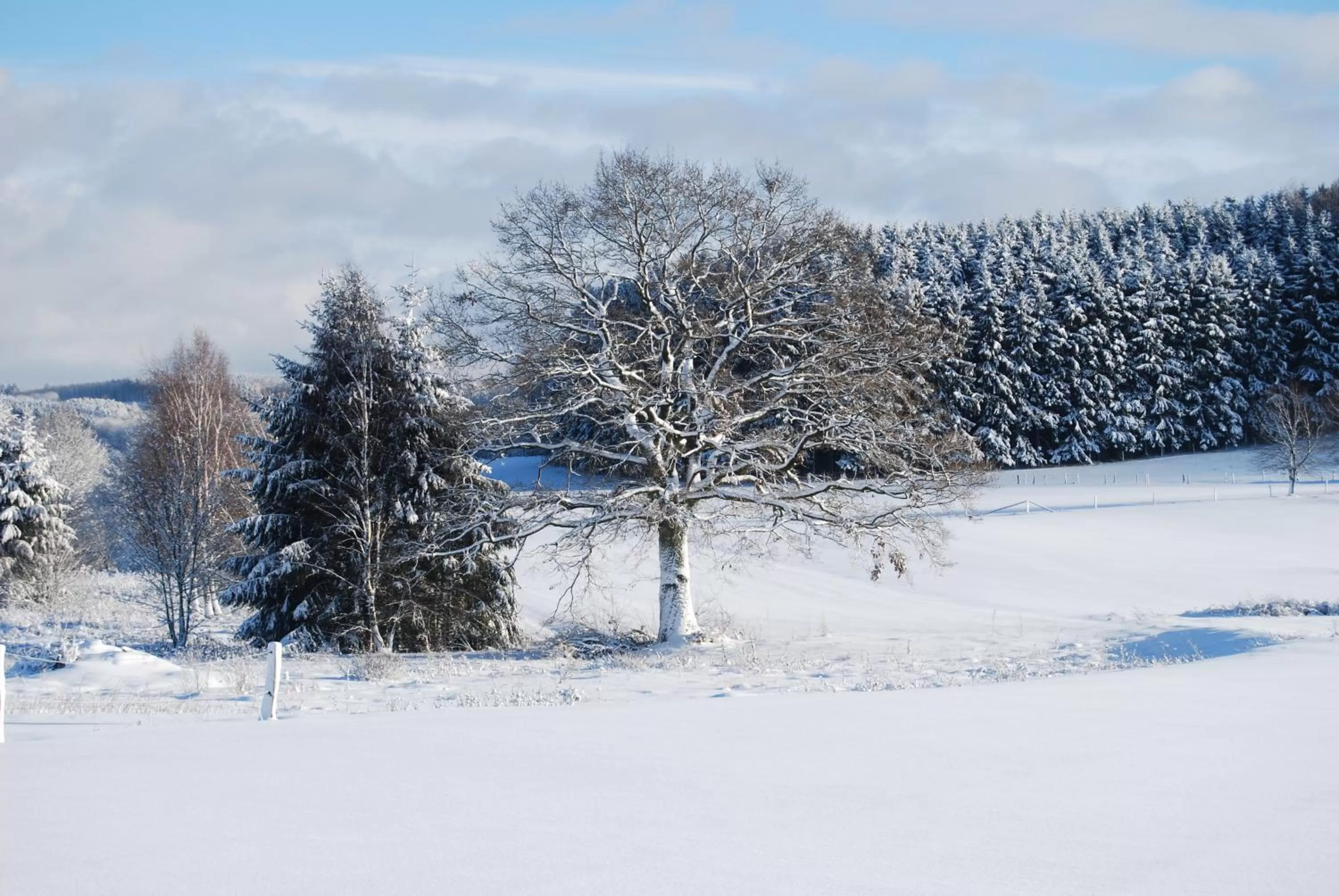 Natural landscape in Le Relais du Moulin