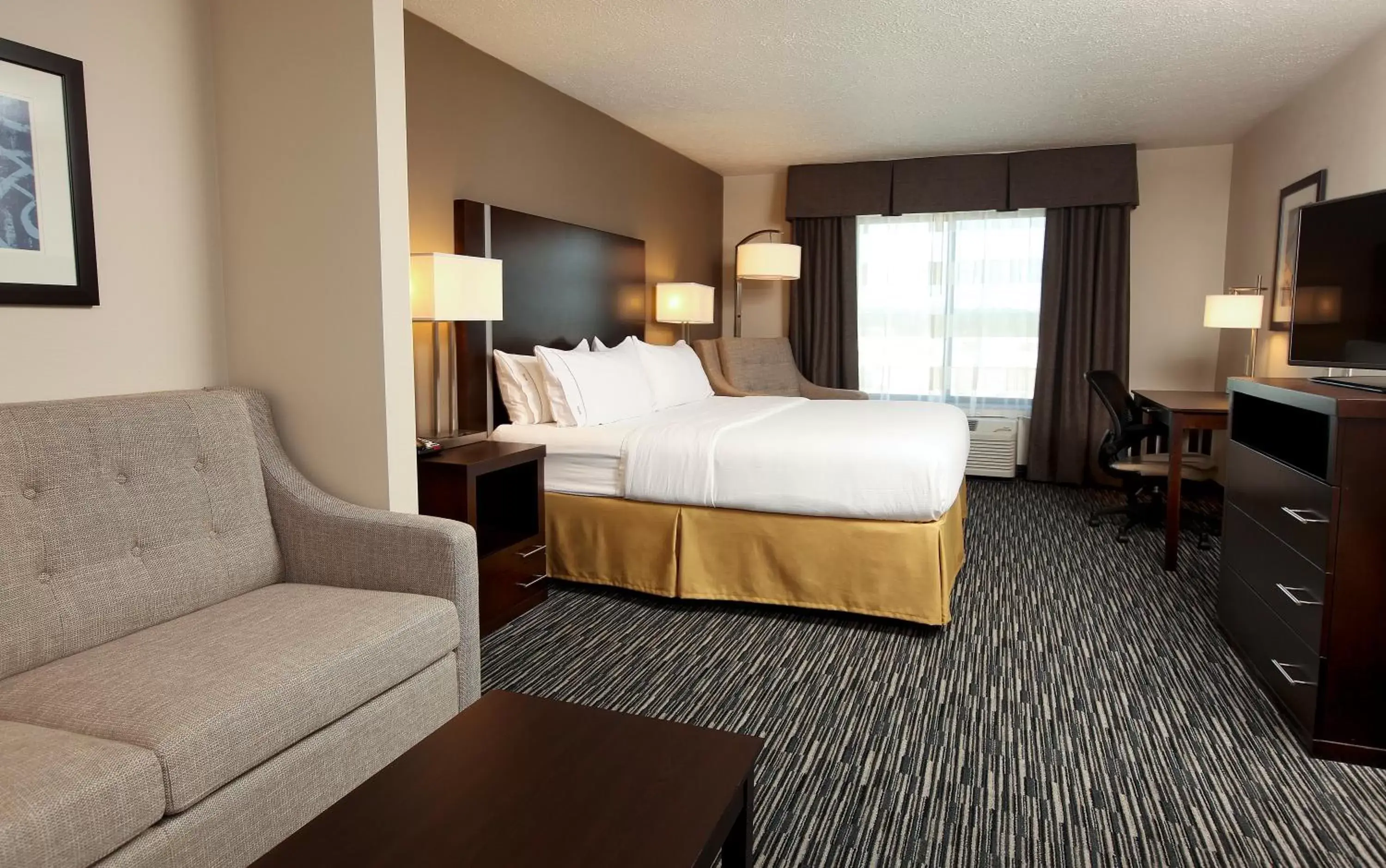 Photo of the whole room in Holiday Inn Express & Suites Omaha South Ralston Arena, an IHG Hotel