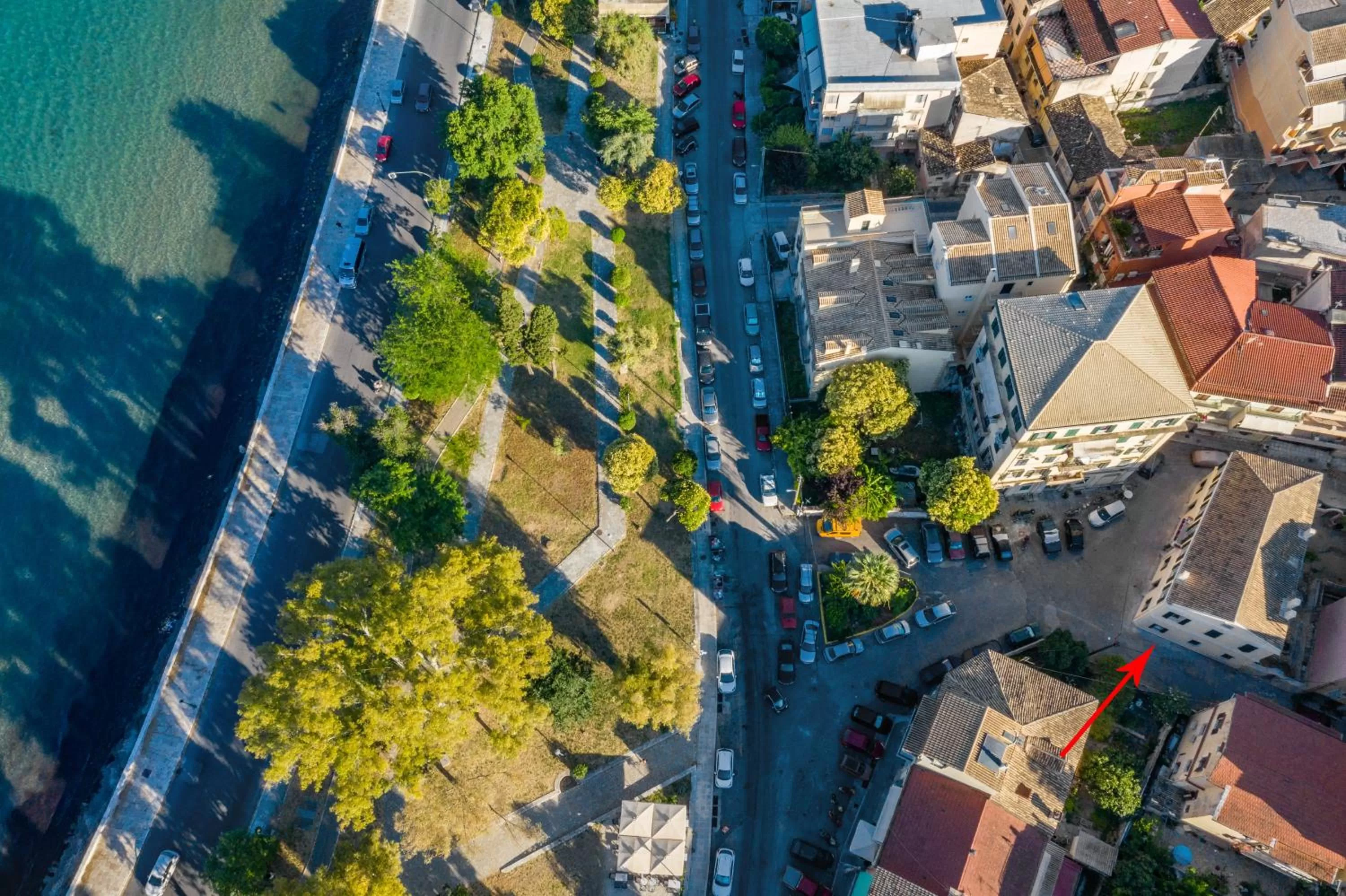 Neighbourhood in Acanthus blue