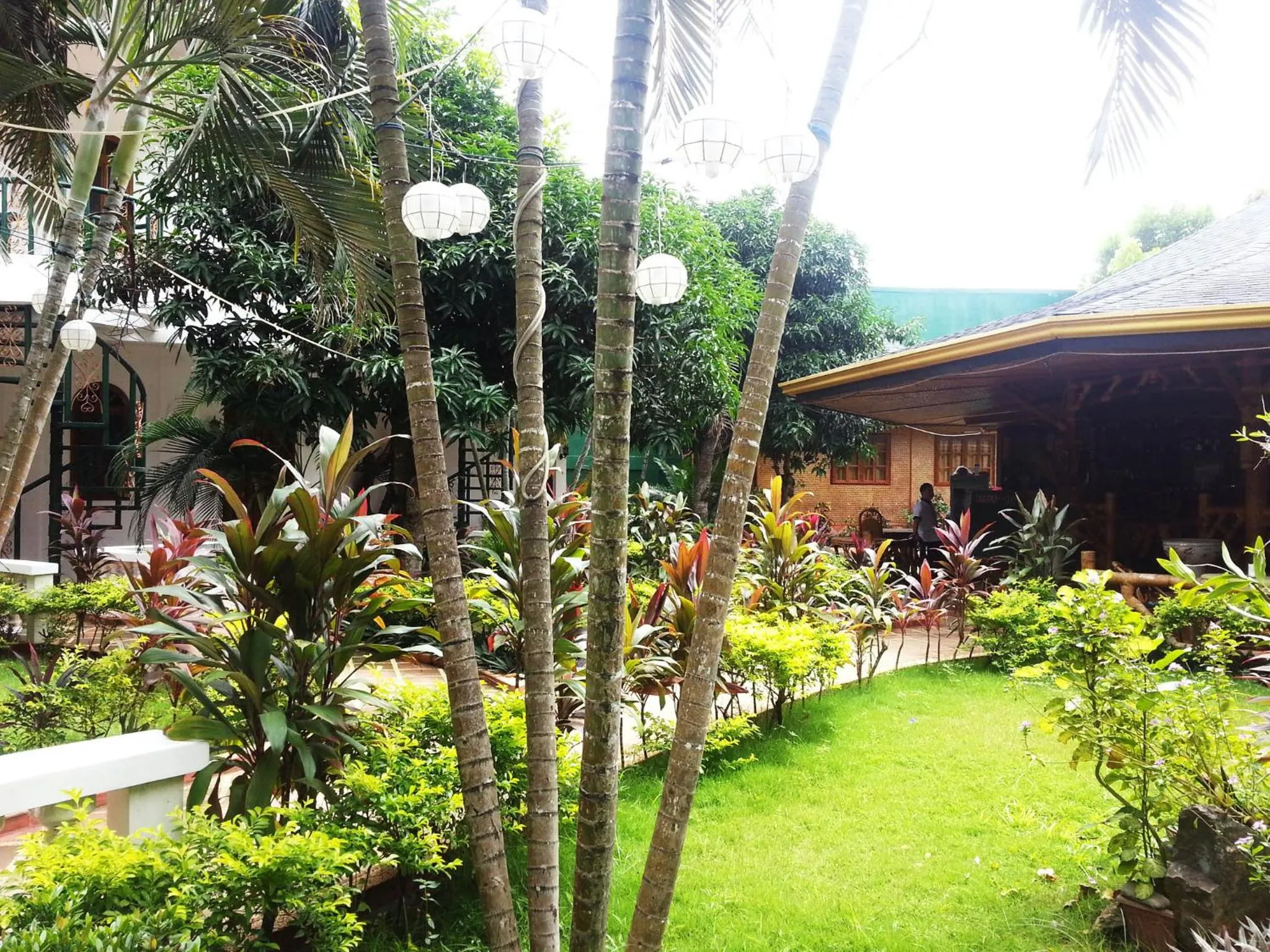 Garden in Dolce Vita Hotel