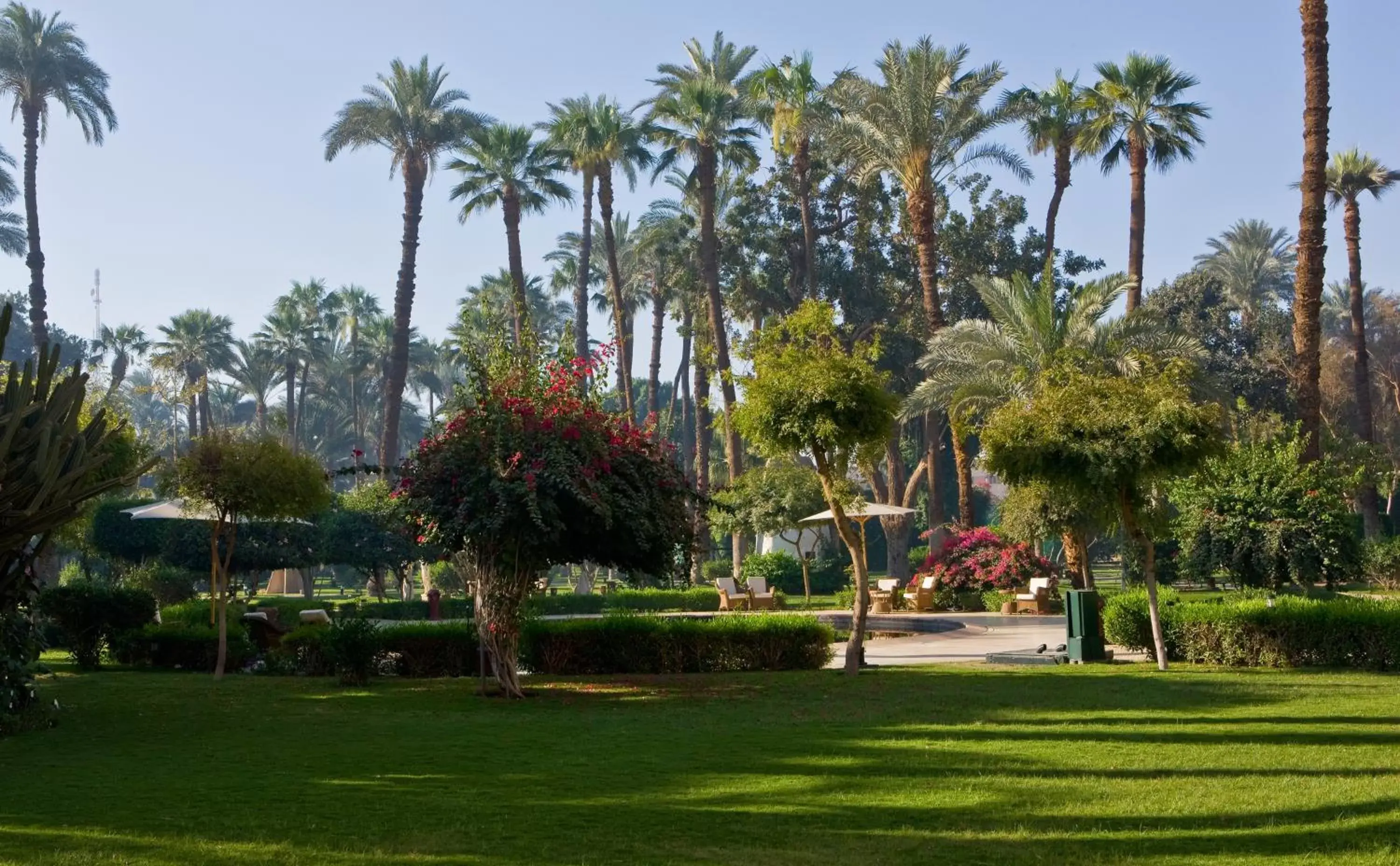 Garden in Sofitel Winter Palace Luxor
