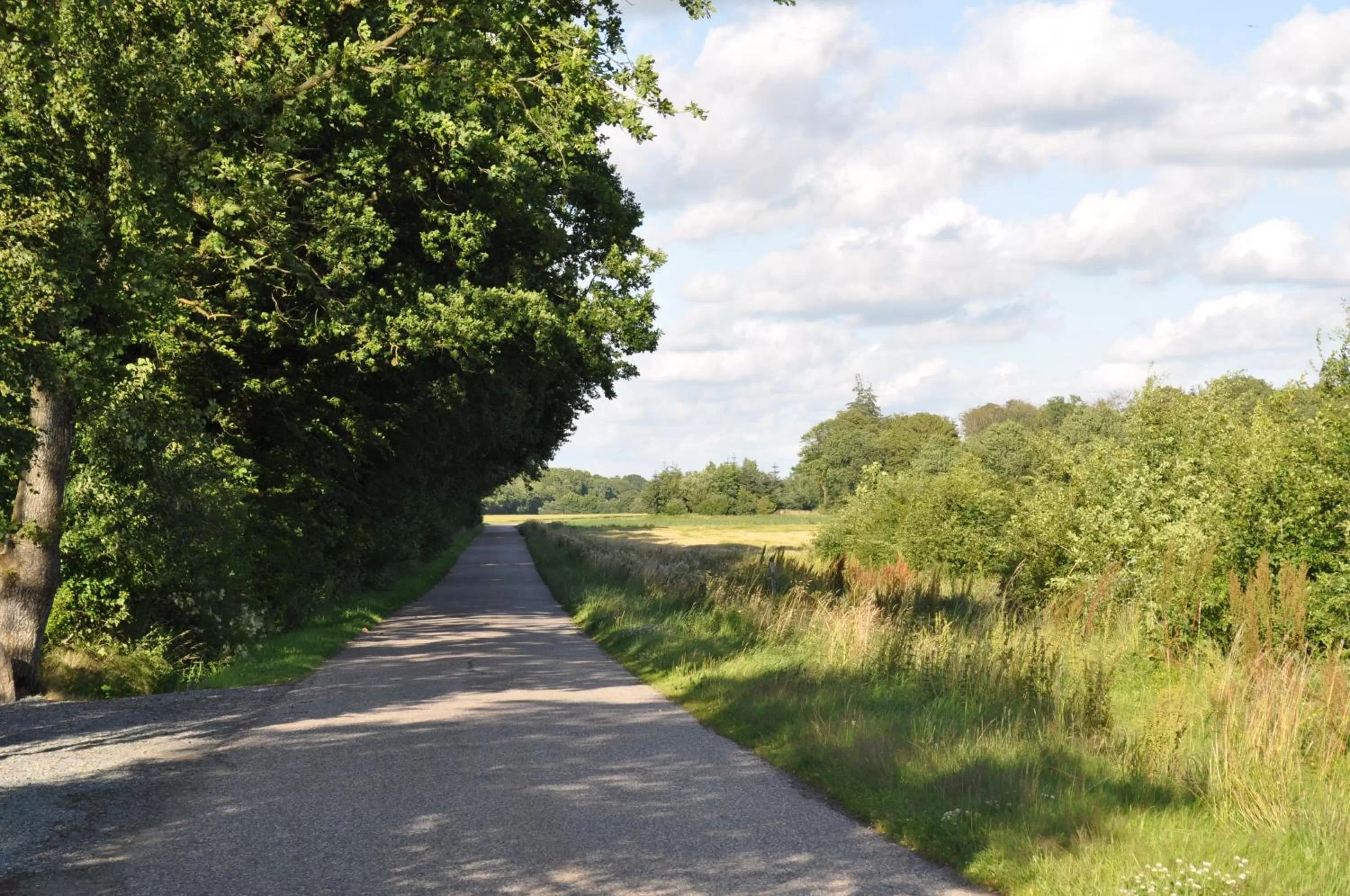 Area and facilities in Koebenhovedskov Bed & Breakfast