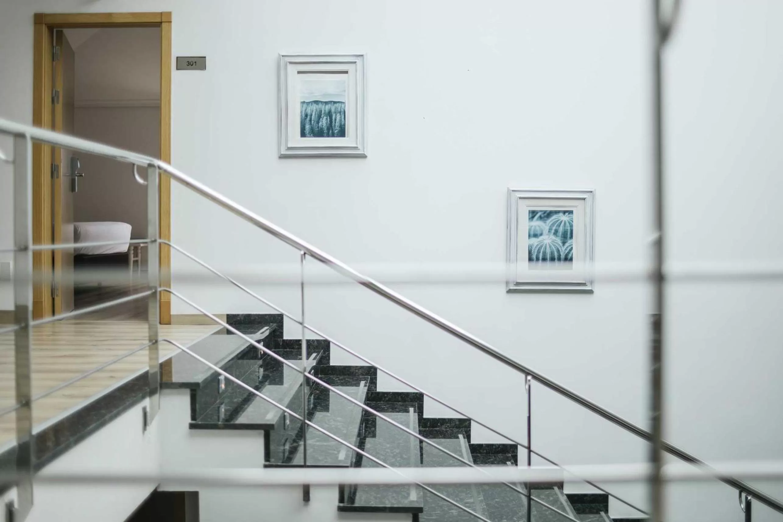 Area and facilities in Hotel Alfonso I