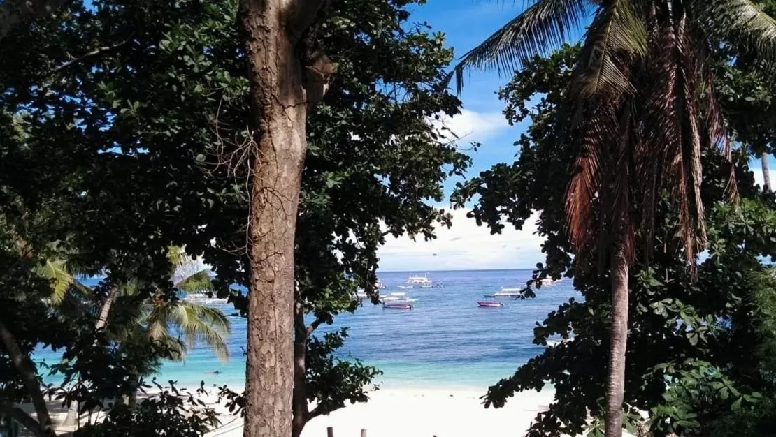 Balcony/Terrace in La Sirenita