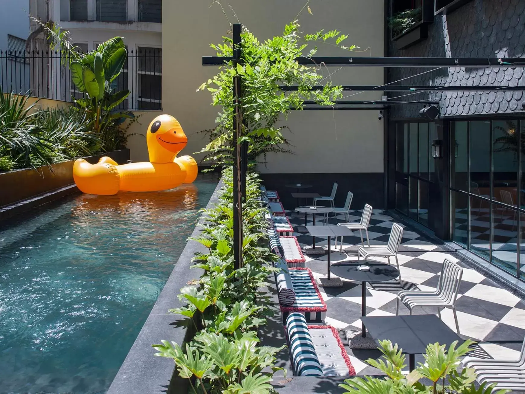 Swimming pool in The Editory Boulevard Aliados Hotel