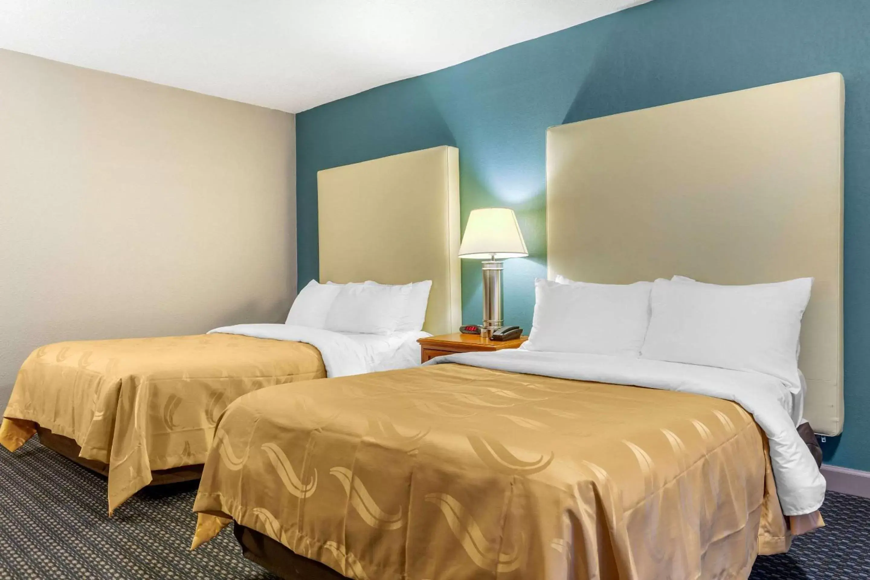 Photo of the whole room, Bed in Quality Inn & Suites Apex-Holly Springs