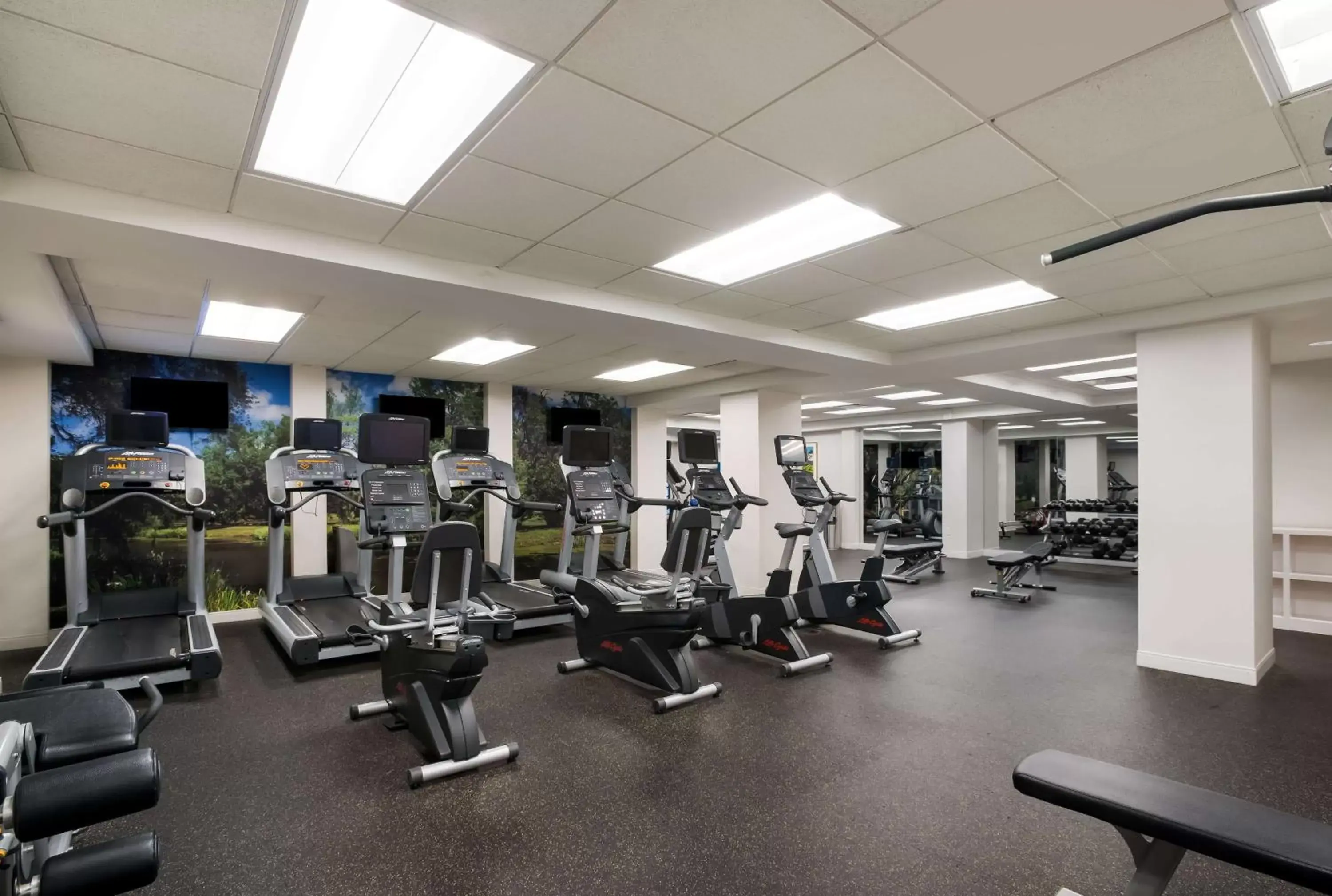 Fitness centre/facilities, Fitness Center/Facilities in The Royal Sonesta New Orleans