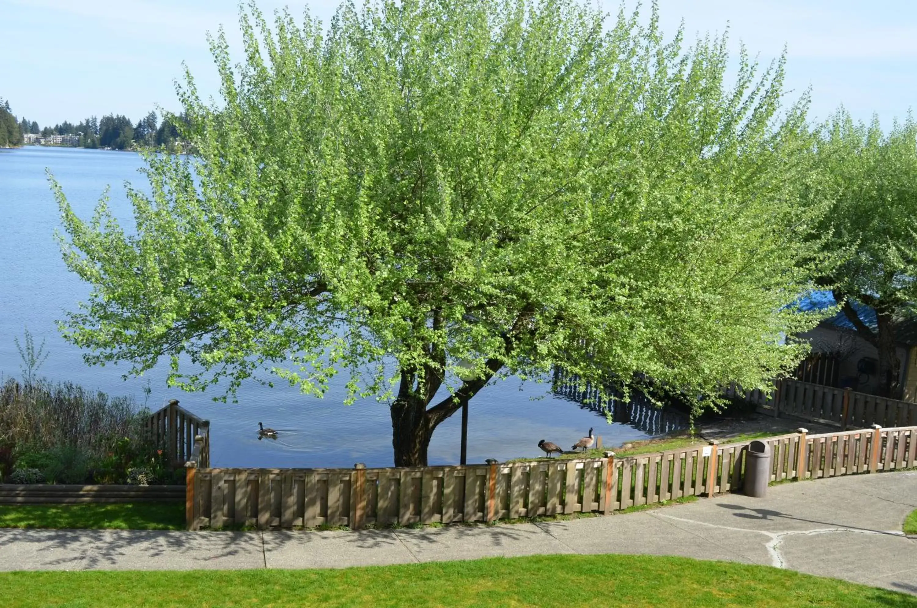 Beach in Inn on Long Lake