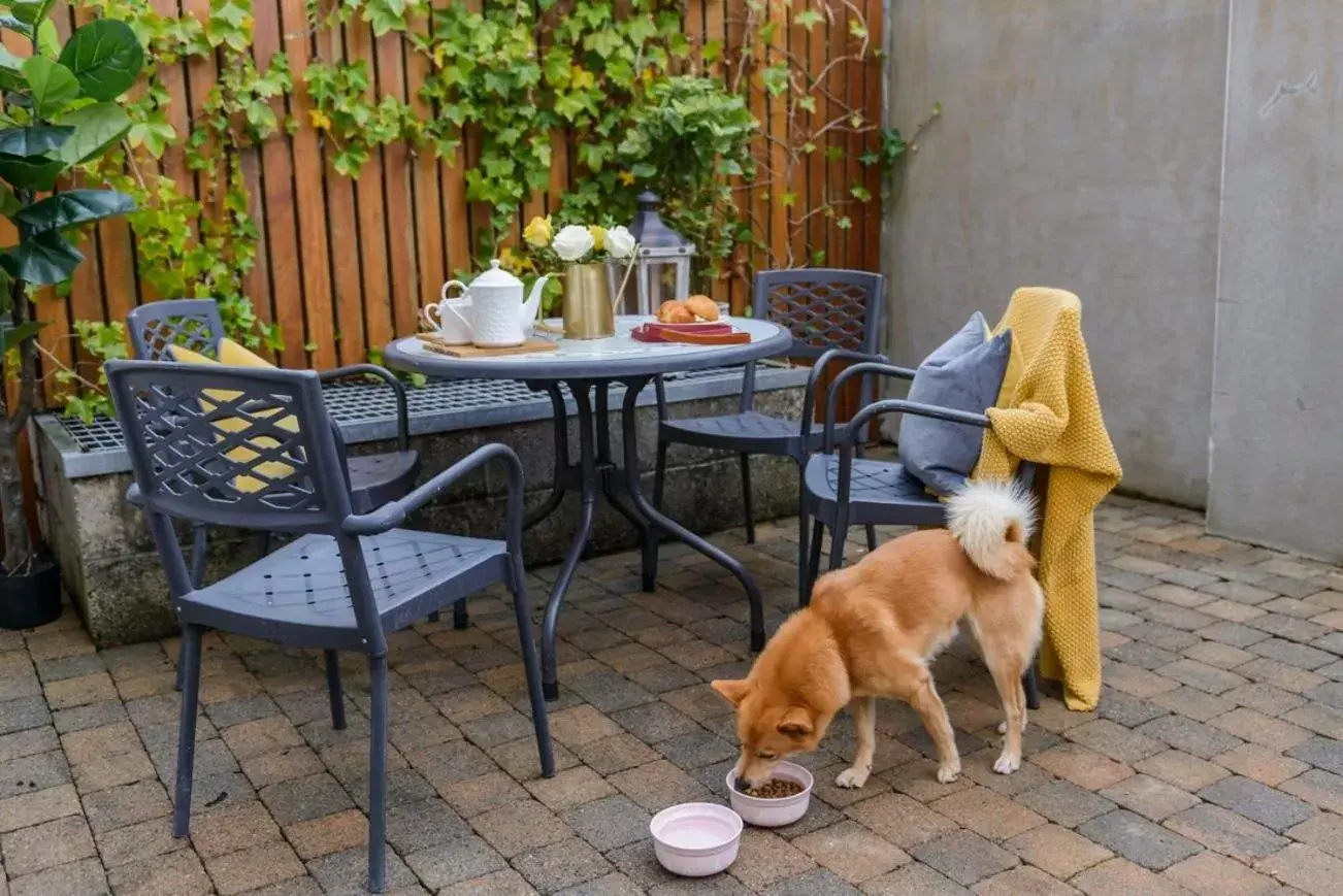 Patio in Park Place Apartments